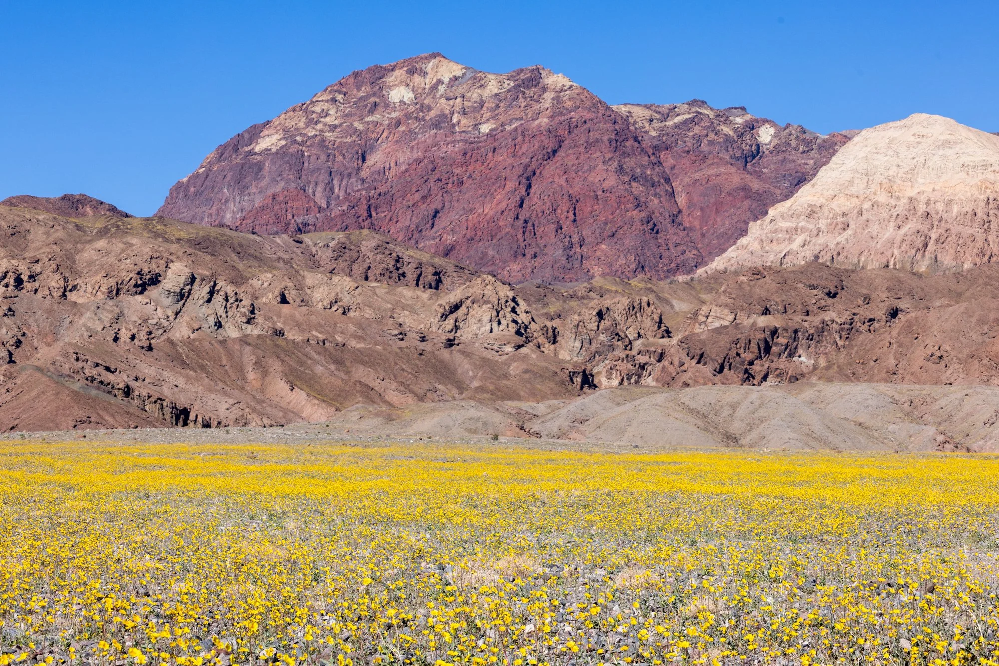 DeathValley_National_Park_Conservation_California_Camping_Road_Trip_0006.jpg