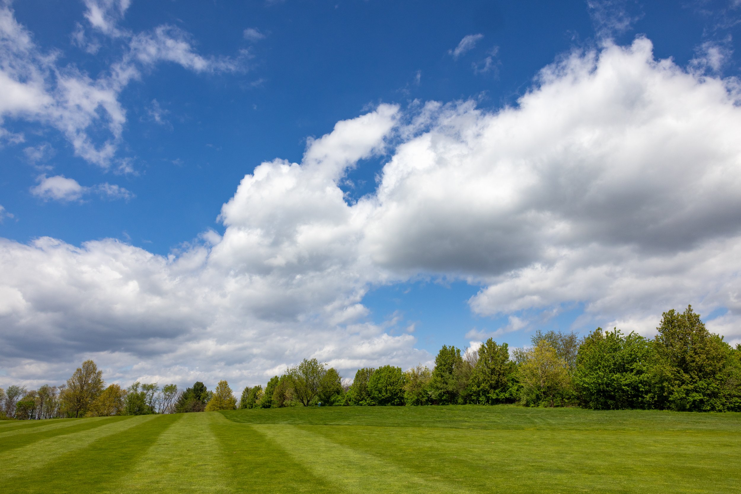 m_0047_SpringHollow_0007.jpg