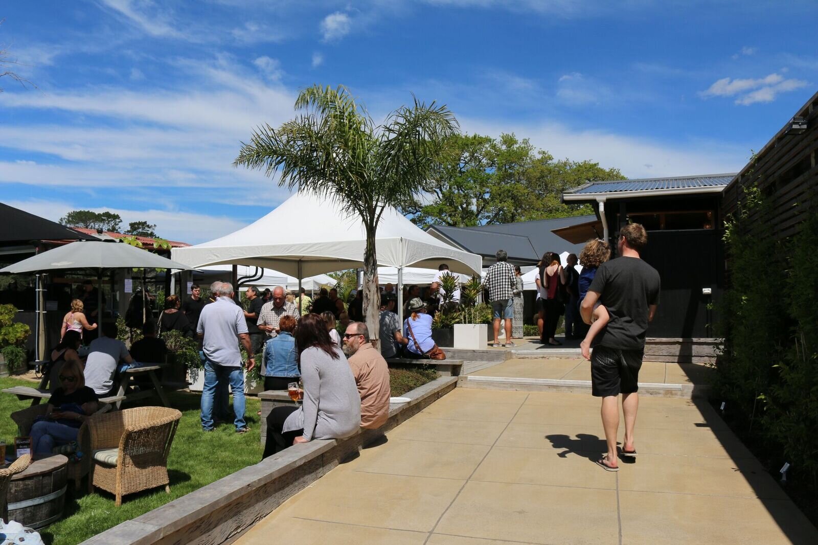 sunday live stock.JPG