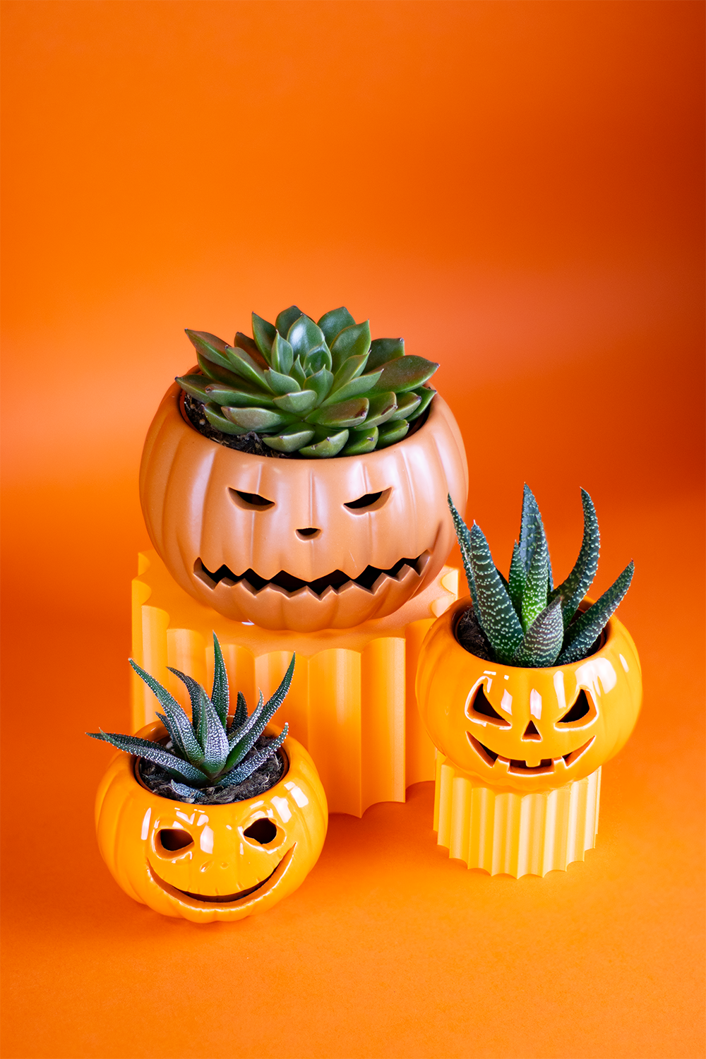 PumpkinTrio2 small.png