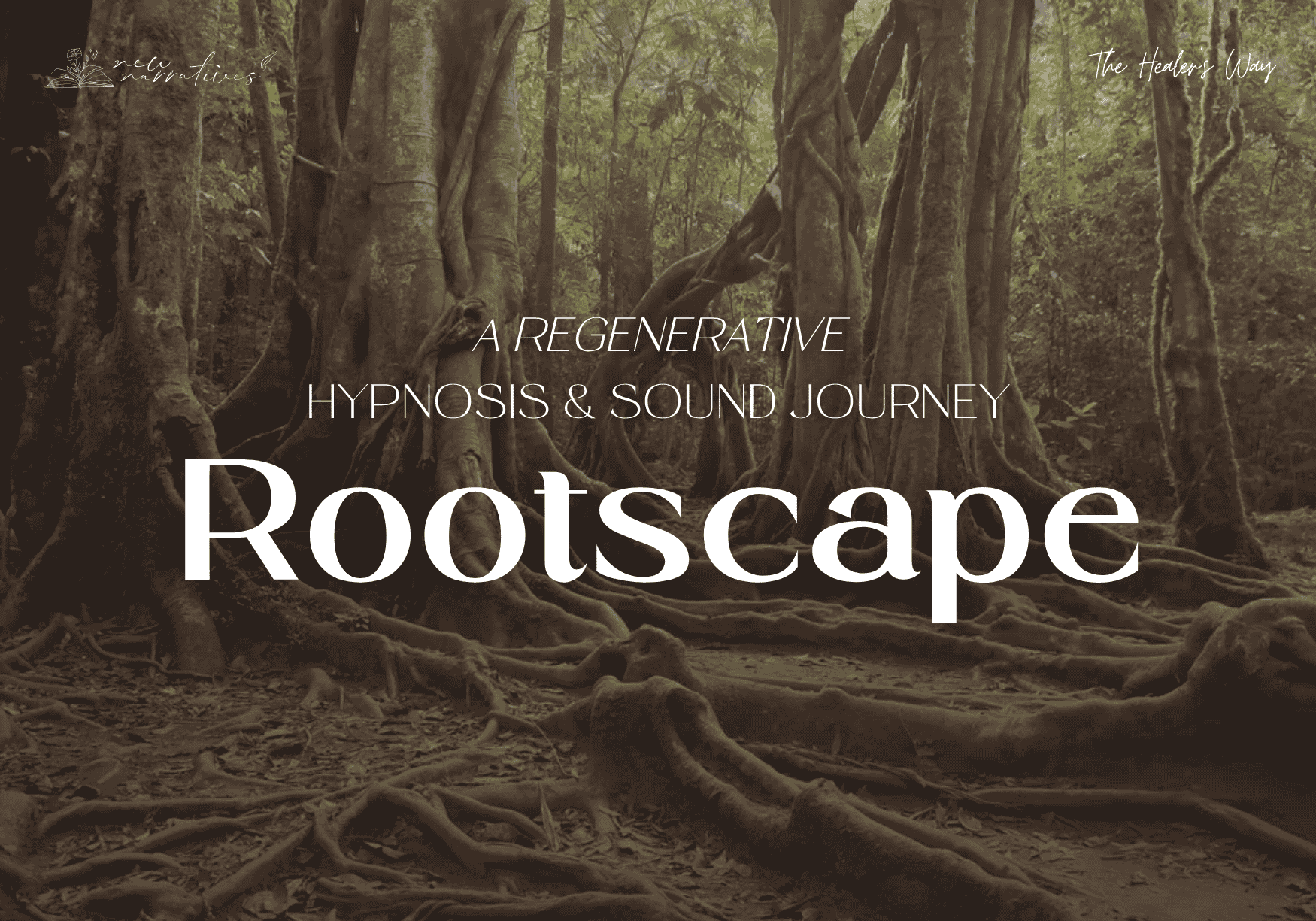 Roots and tree trunks in a forest of green leaf trees