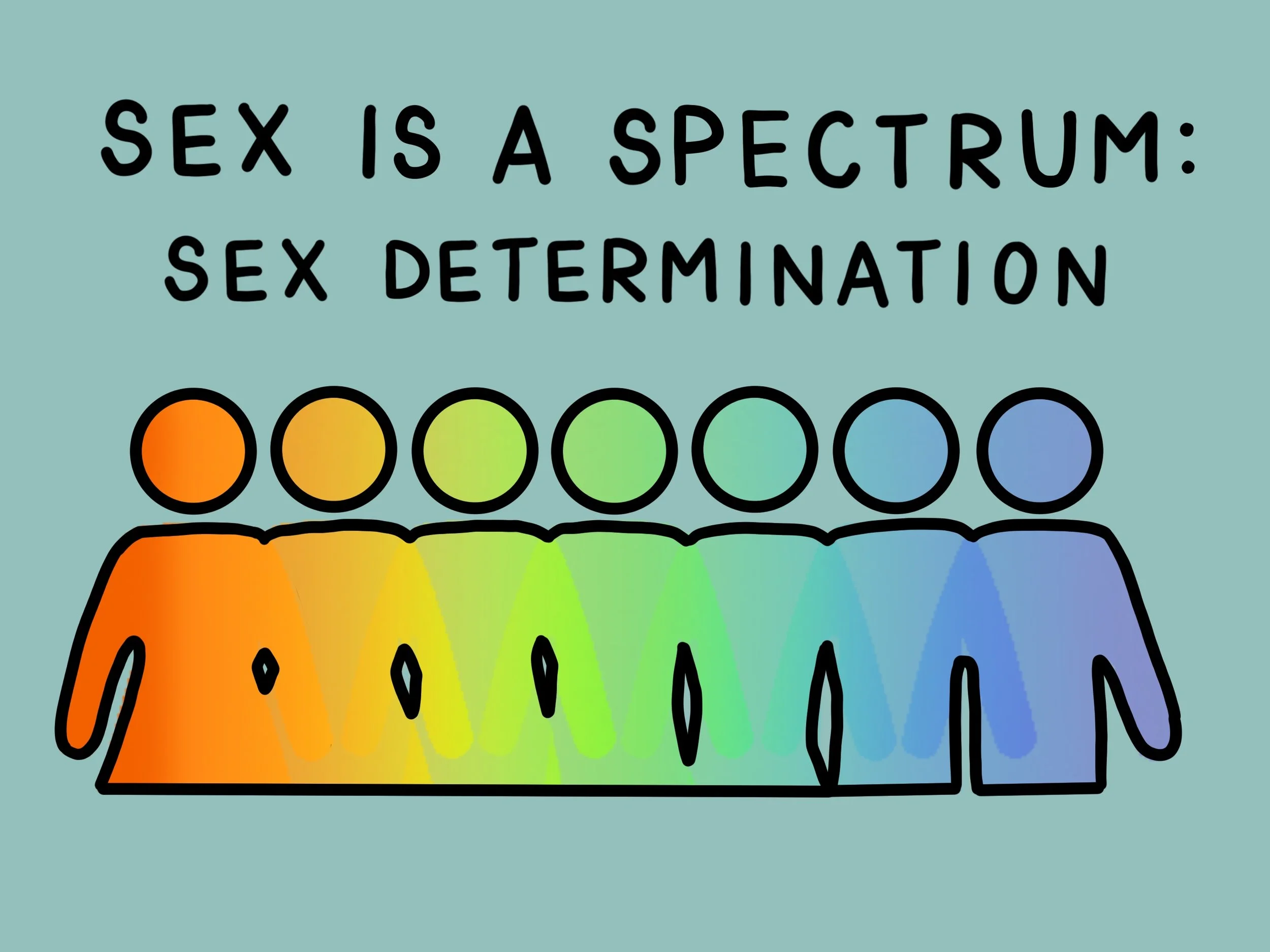 Sex determination
