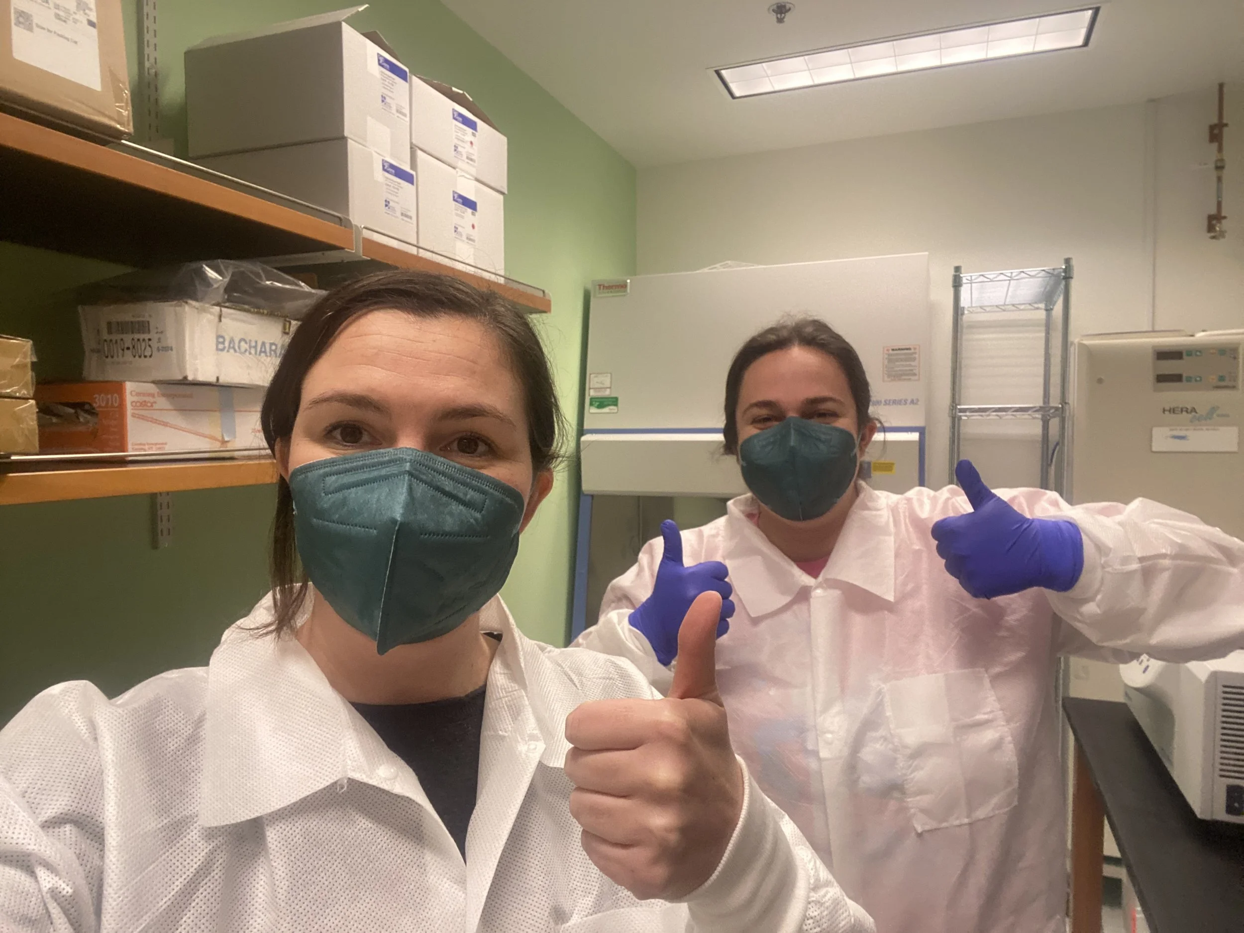 2024: Decontaminating inherited tissue culture hoods!