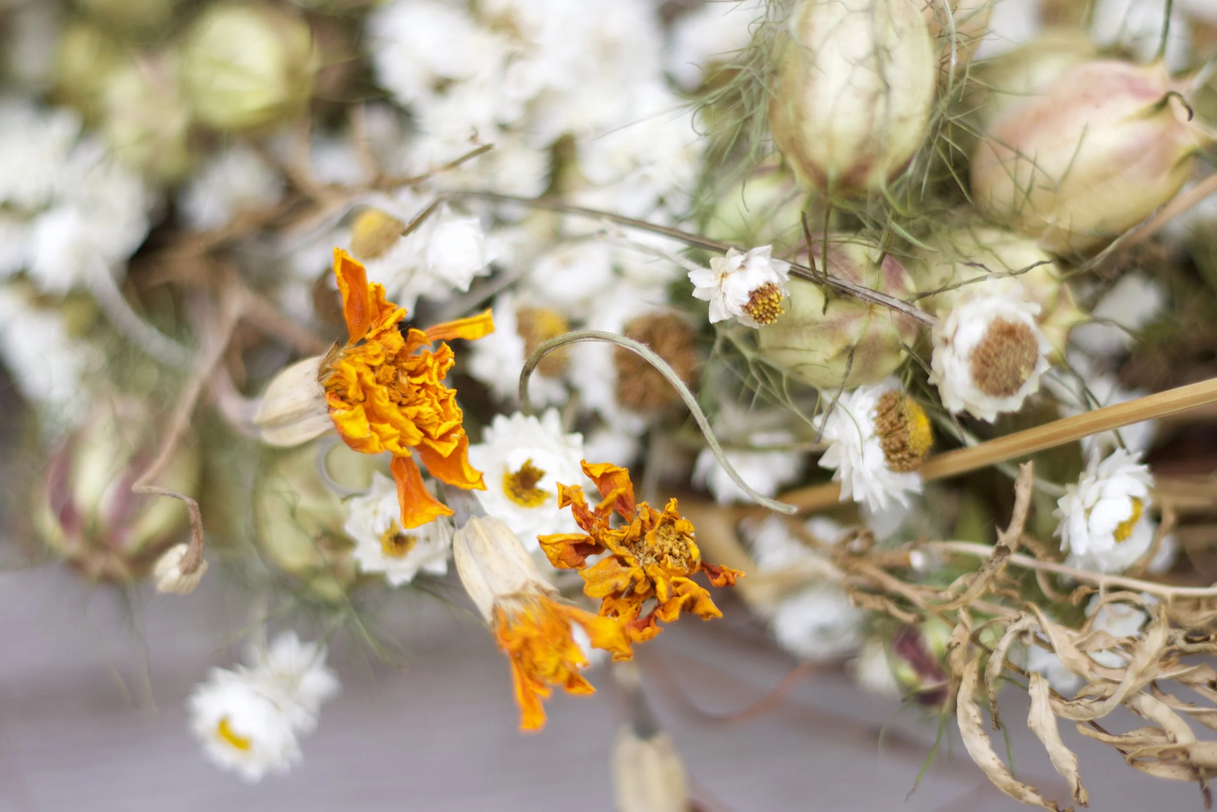 Image of dry flower crown up close