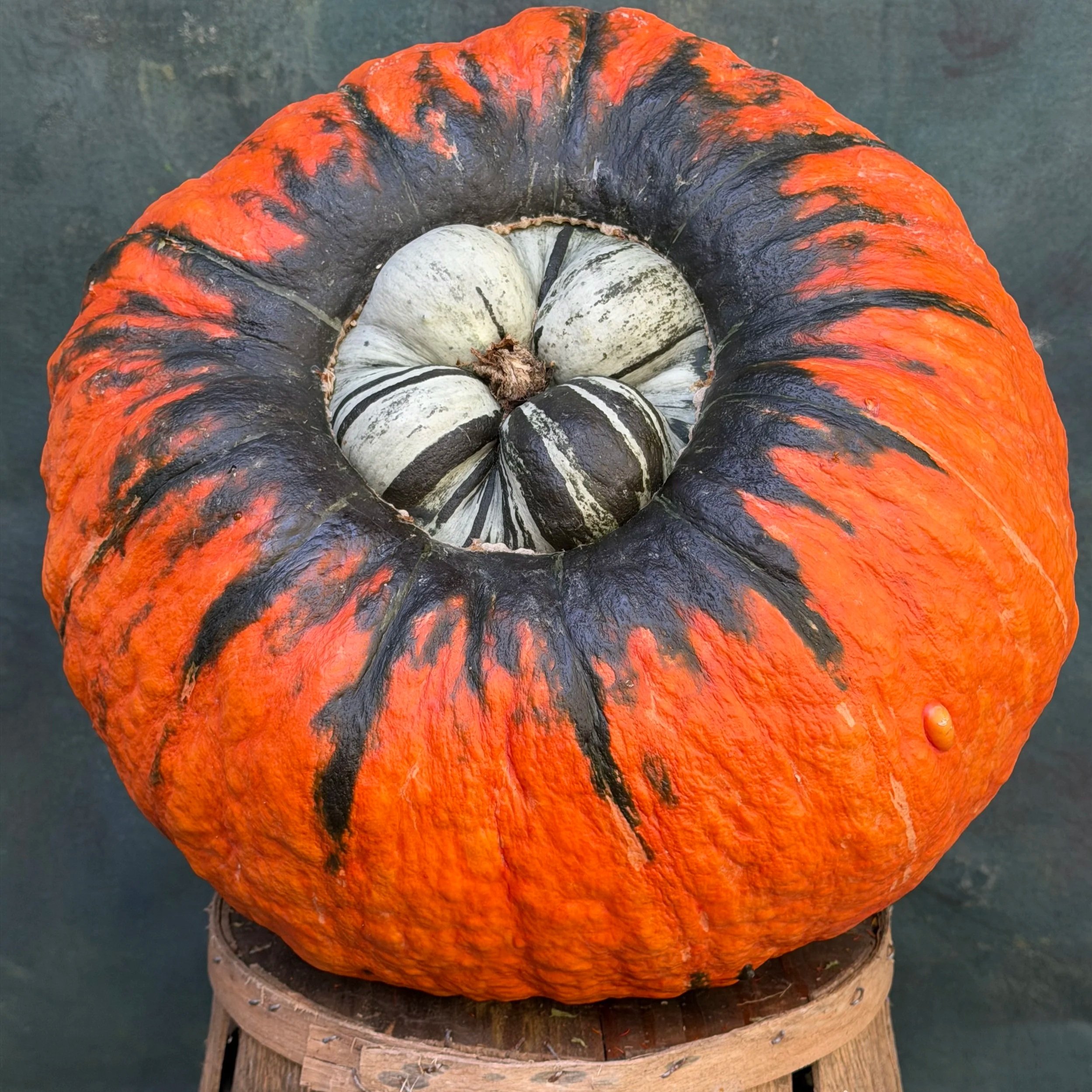 Dragon Fire Pumpkin