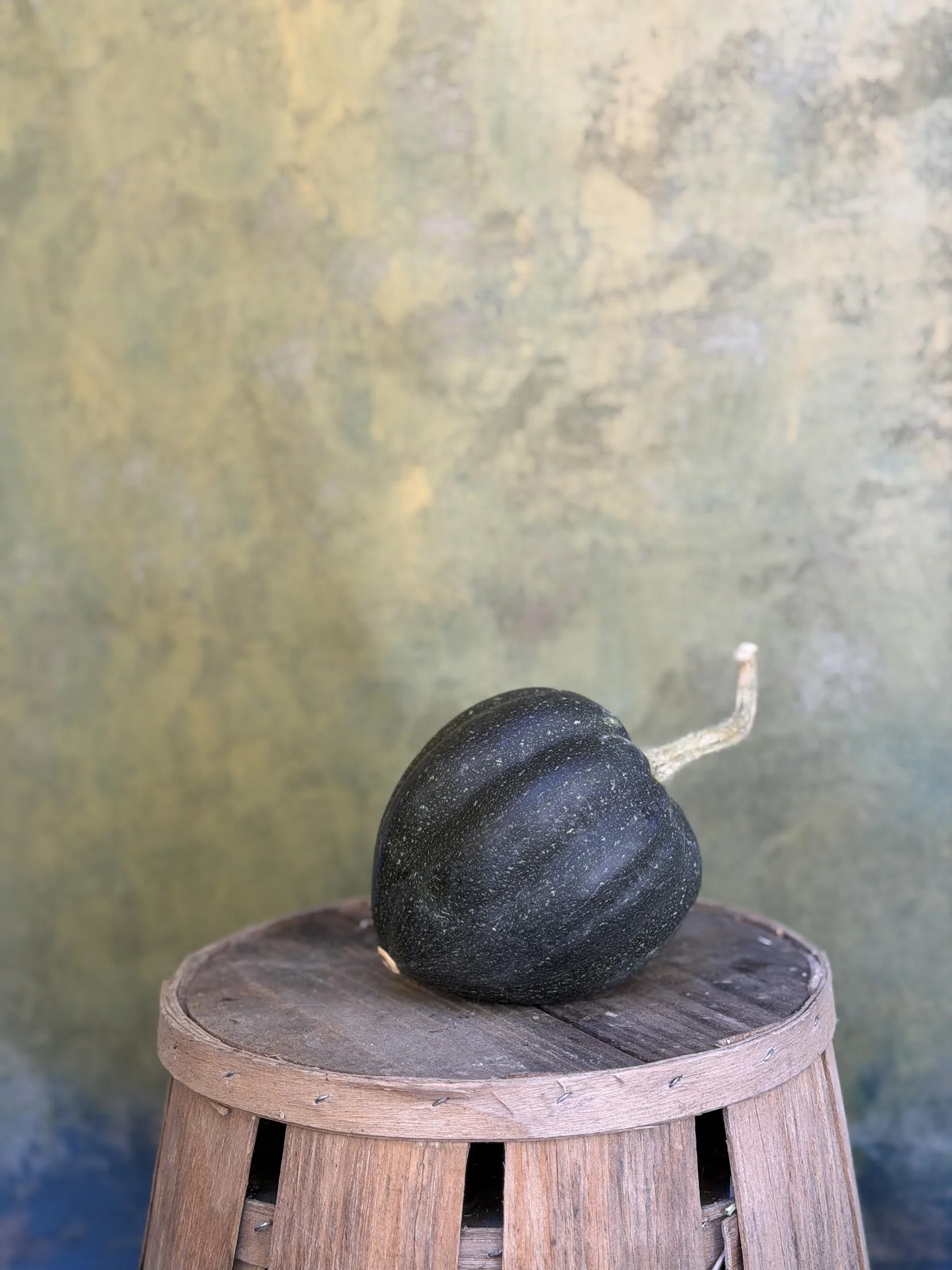 "Black Acorn" Squash (Culinary)