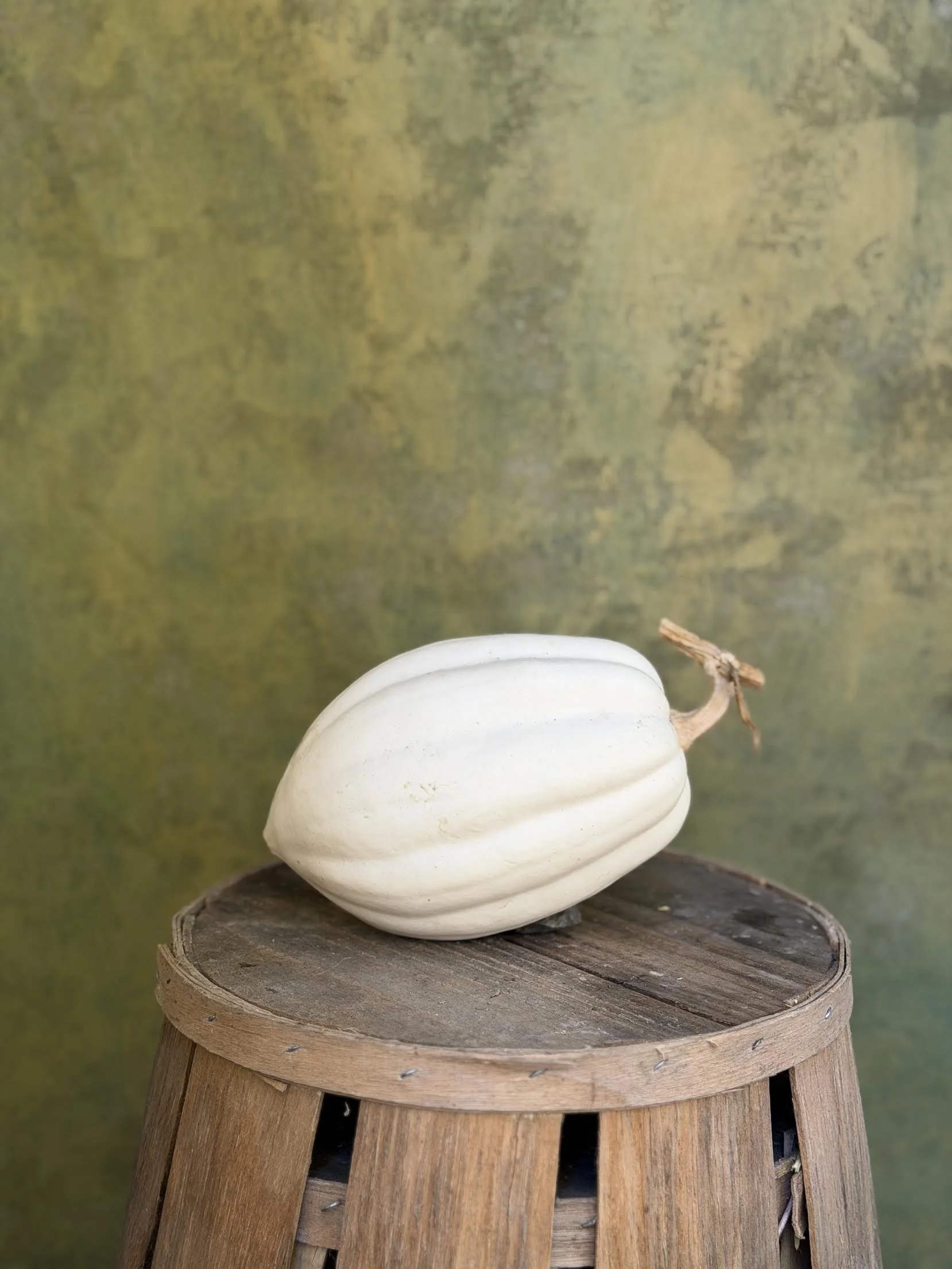 "White Acorn" or "Mashed Potato" Squash (Culinary) 