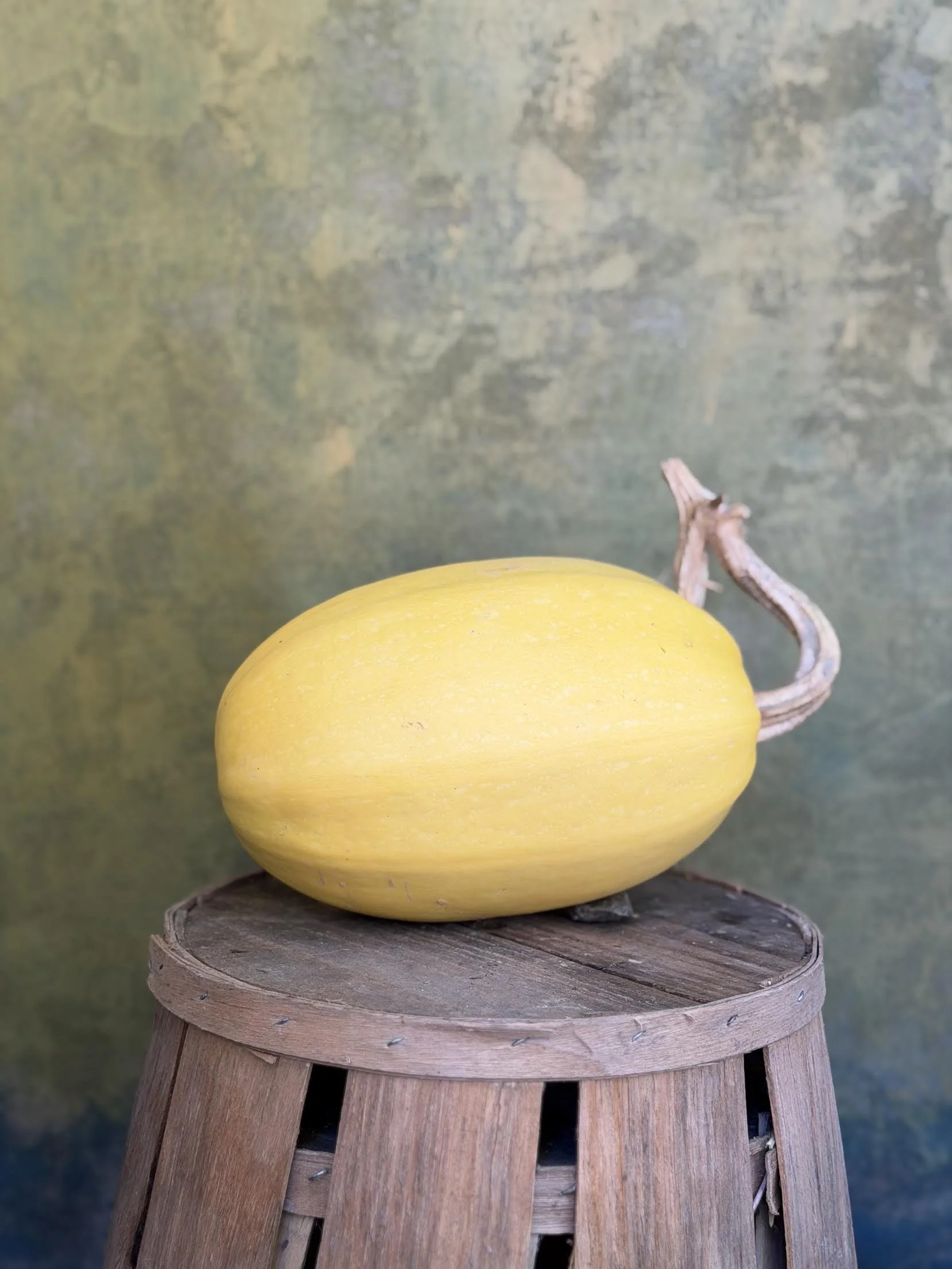 Spaghetti Squash