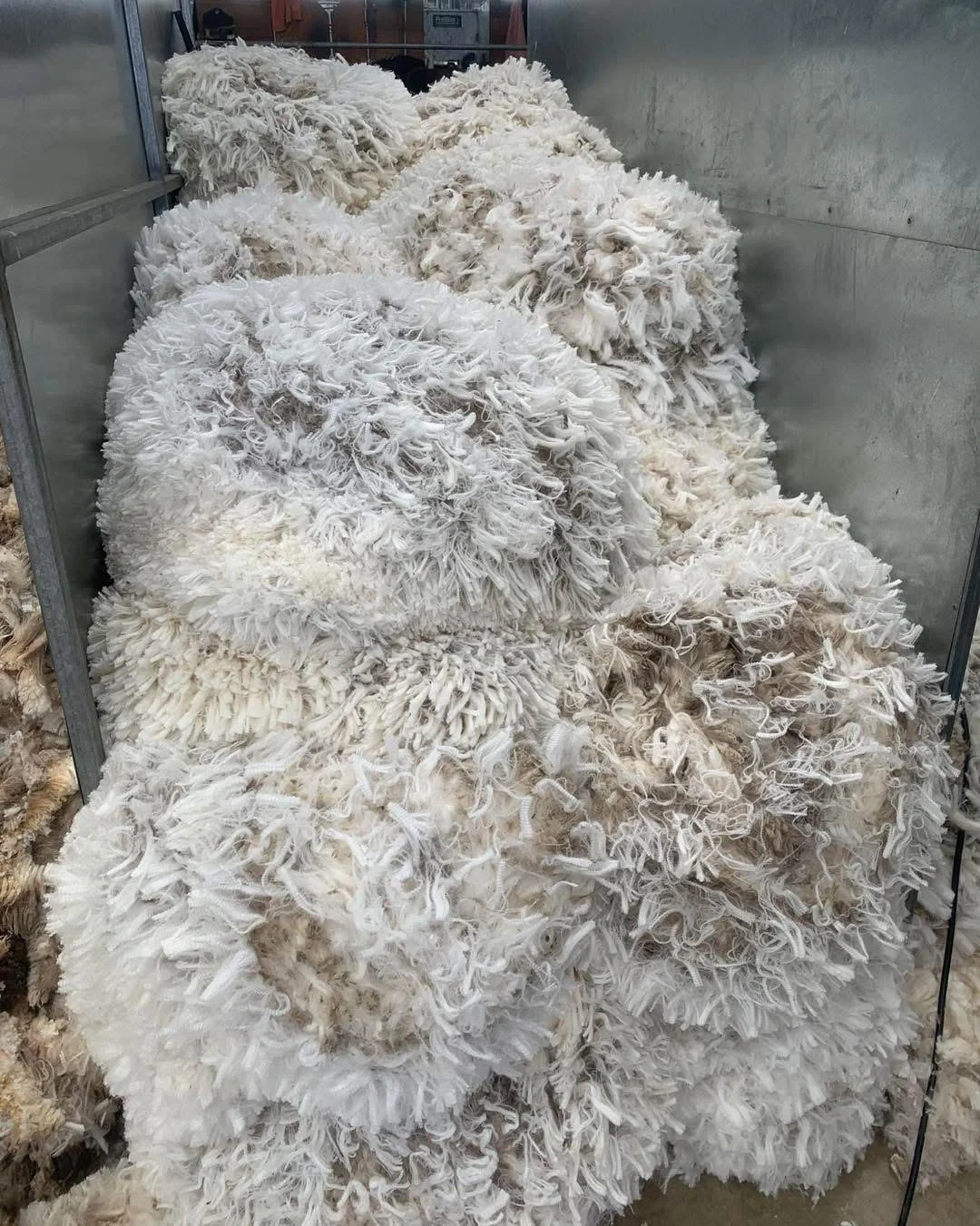 wool in bin.jpg