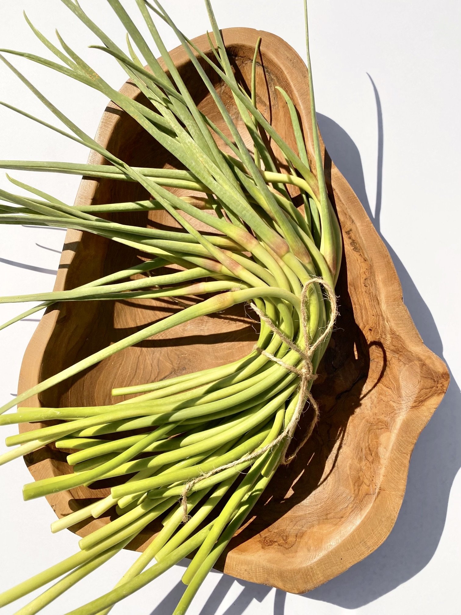Spanish Roja Garlic Scapes