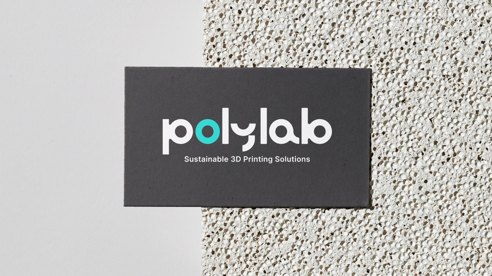 PolyLab_001.png