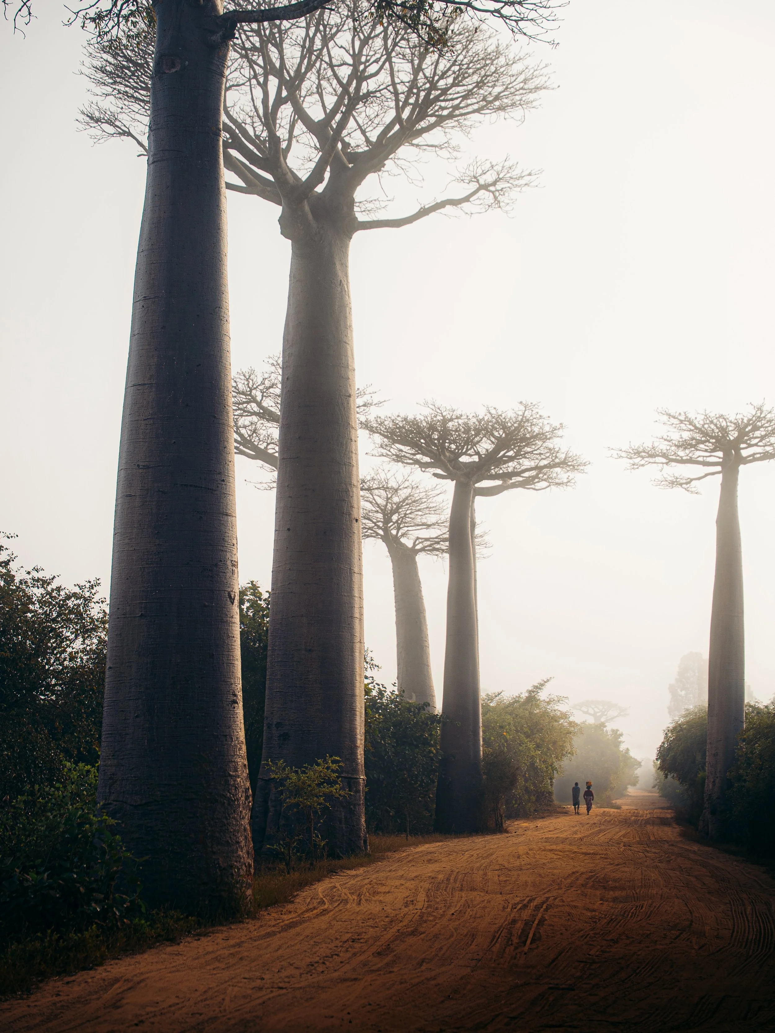 After spending more than 20 days in Madagascar, it was a challenge to put together a compilation of my favorite moments &mdash; but here they are.

It&rsquo;s hard for a single word to describe this place. Between the endless colors, constant movemen