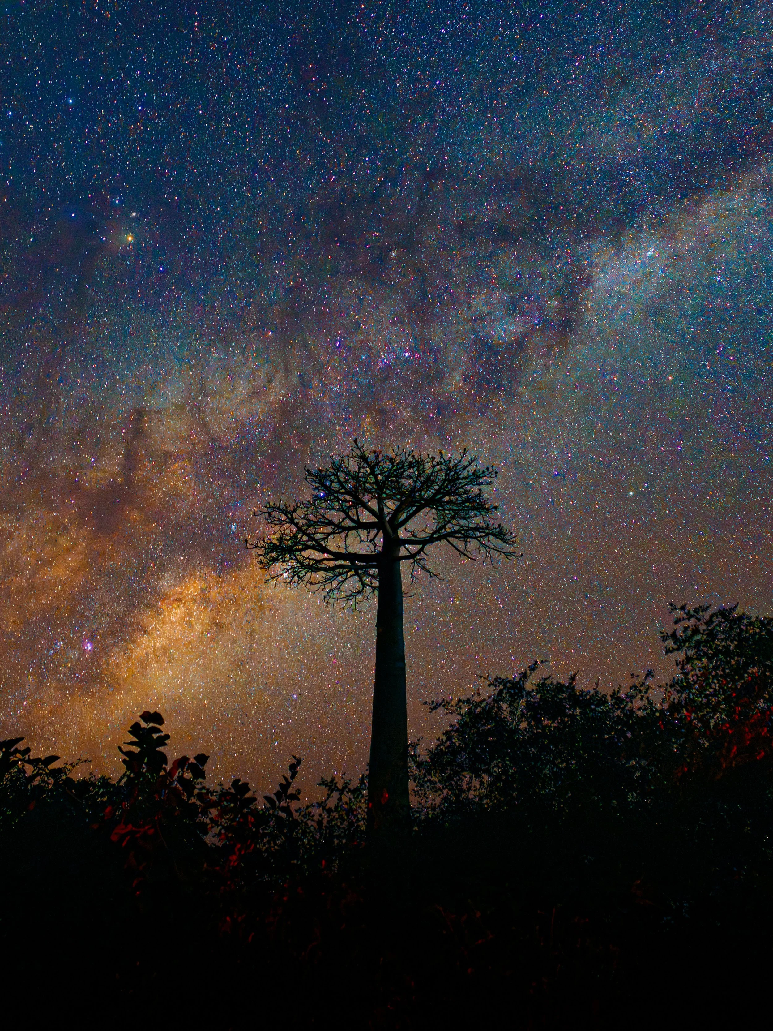 Photographing the stars always gives me a lesson in humility. This time, not only beneath the Milky Way, but also under the &ldquo;trees of life&rdquo; &mdash; the baobabs of Madagascar &mdash; I couldn&rsquo;t help but feel tiny just by looking up.
