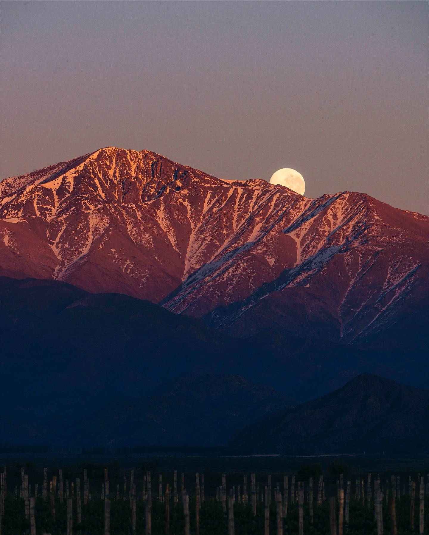 I spent a week surrounded by snow-capped mountains and vineyards at the foot of the Argentine range. It had been years since I&rsquo;d seen a landscape like this &mdash; the moon at dawn, the way the light hid between the snowy peaks at sunset&hellip