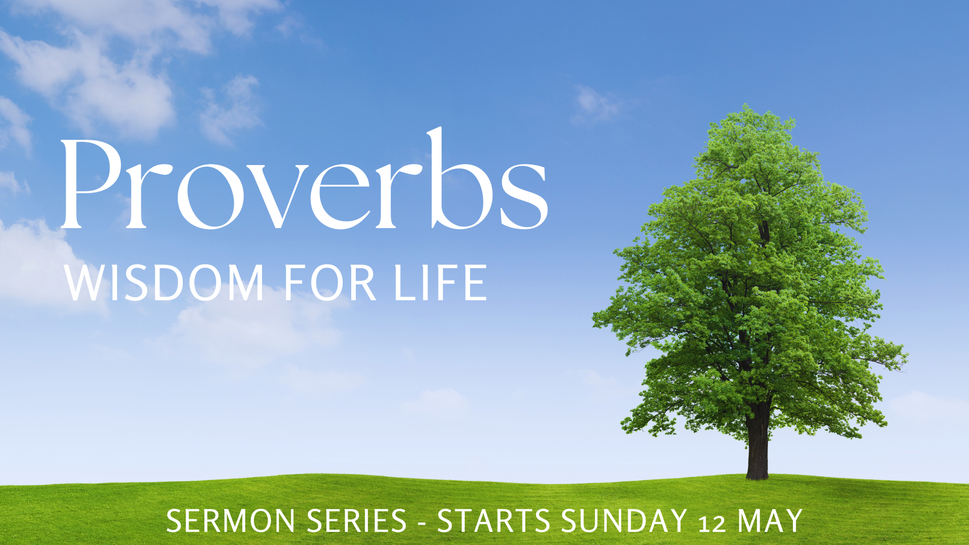 Proverbs wisdom for life sermon series 16.9 for website.png