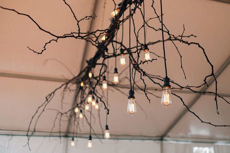 Drop festoon Lights 4 Large.jpeg