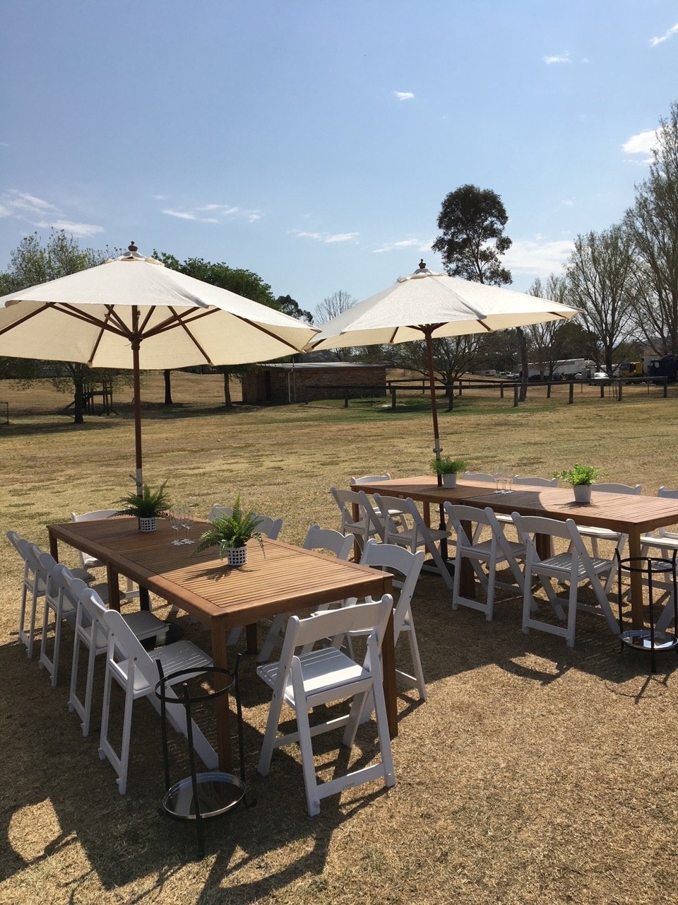Table timber dining 6 seater 2 Large.jpeg
