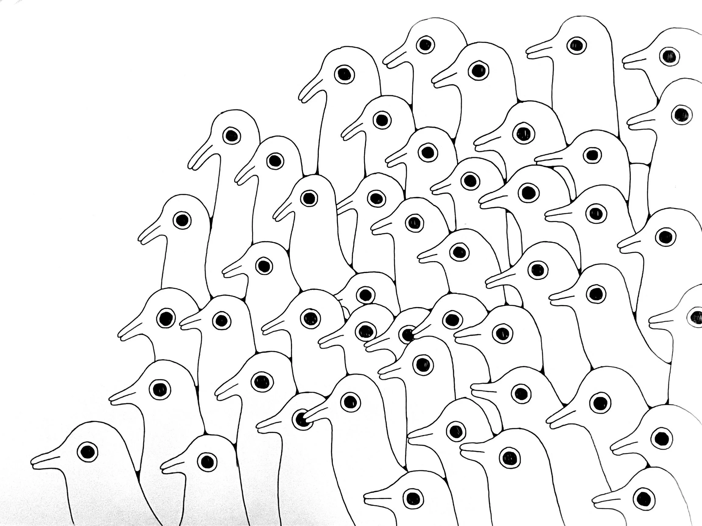 IMG_5144 2.jpg