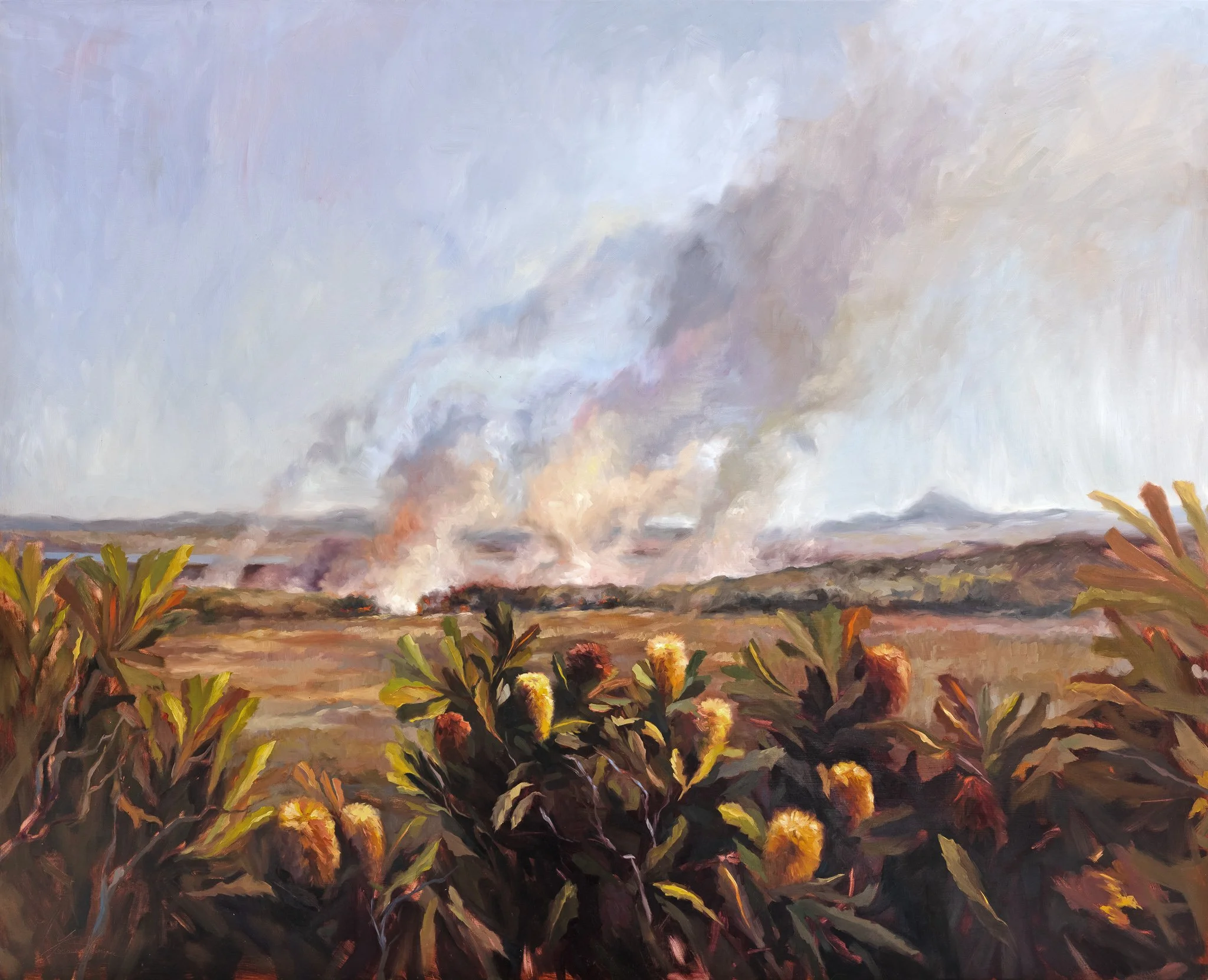Prelude, original oil painting by Jasmine Veronique artist of Australian wildflowers in the boronia fire trail, Sunshine Coast QLD Australia.