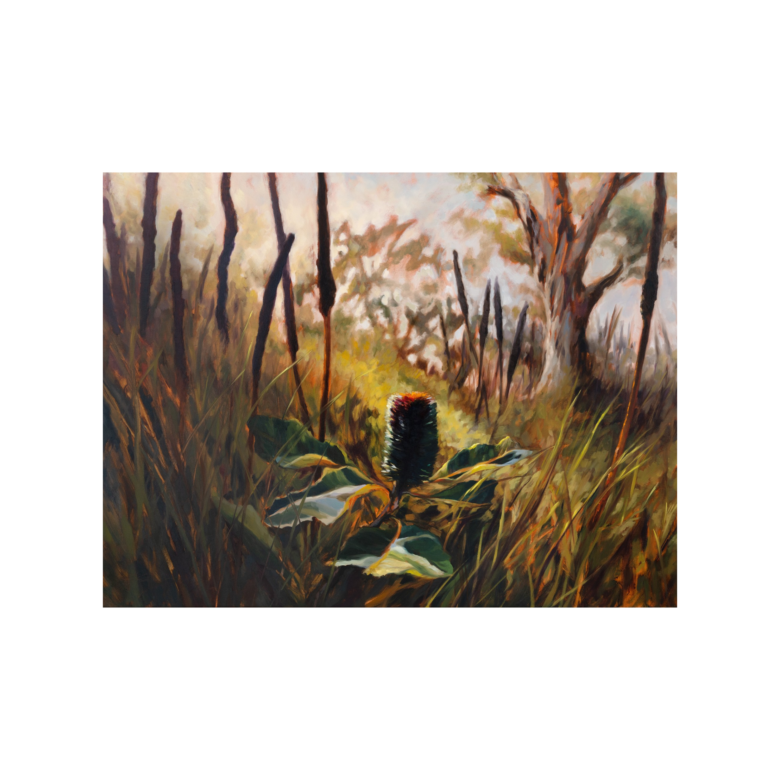 Passage - Jasmine Veronique - on white.png