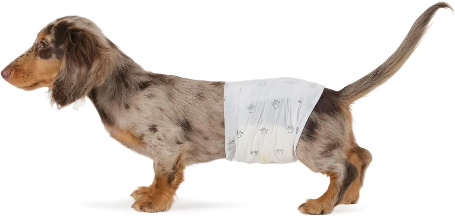 Male Dog Diapers