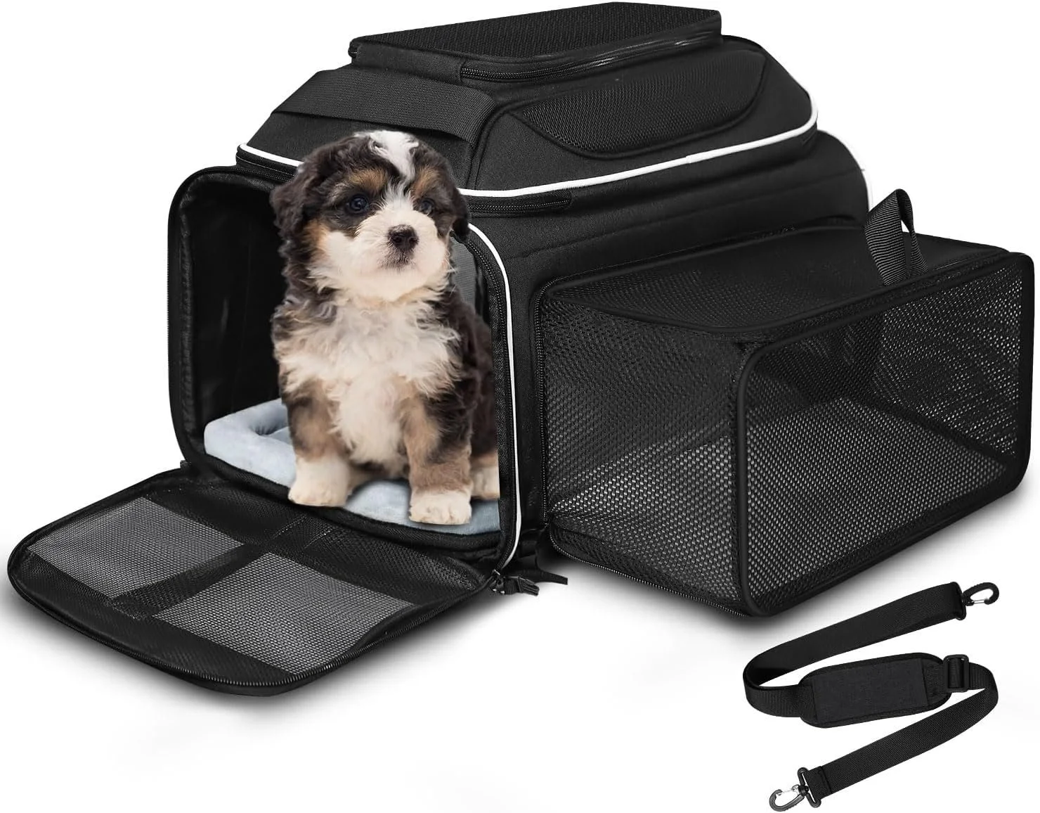 Airline Approved Pet Carrier