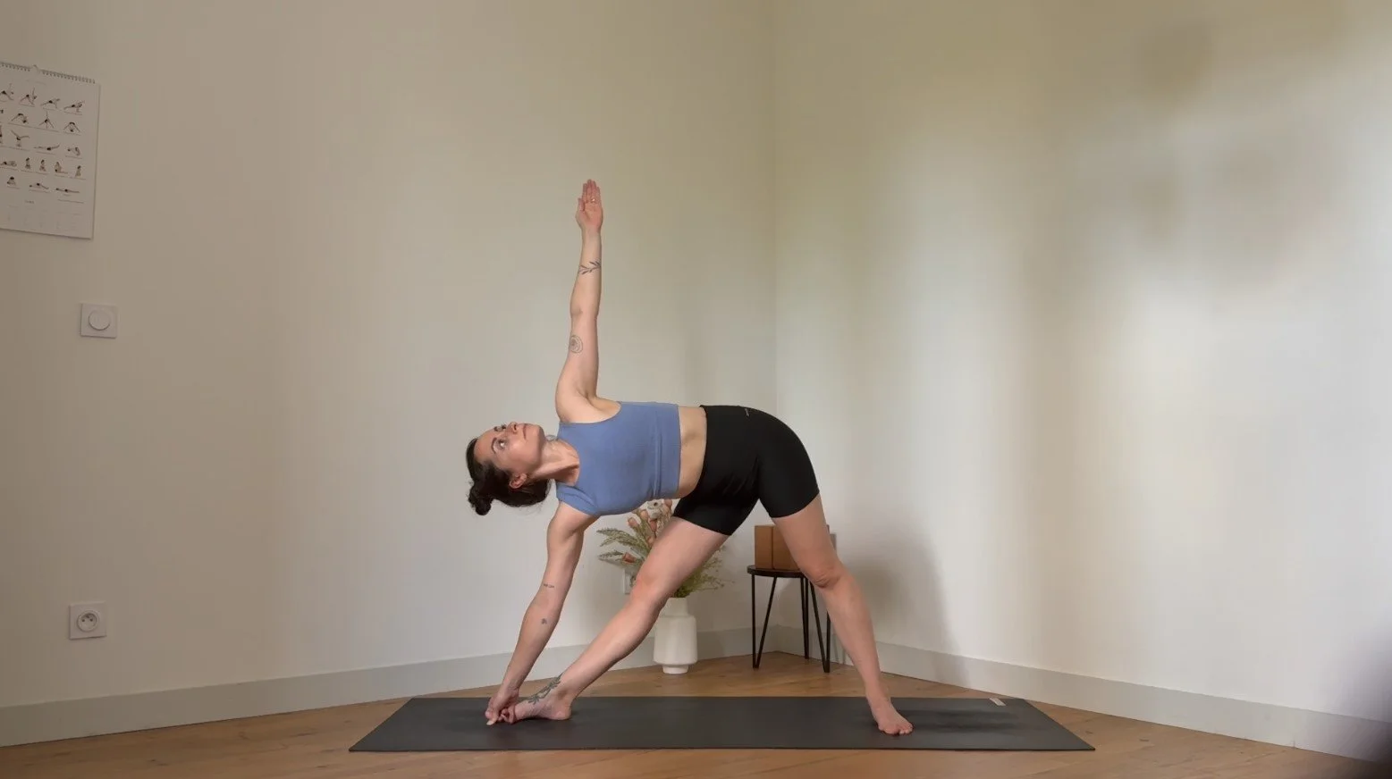 ashtanga short form.jpg