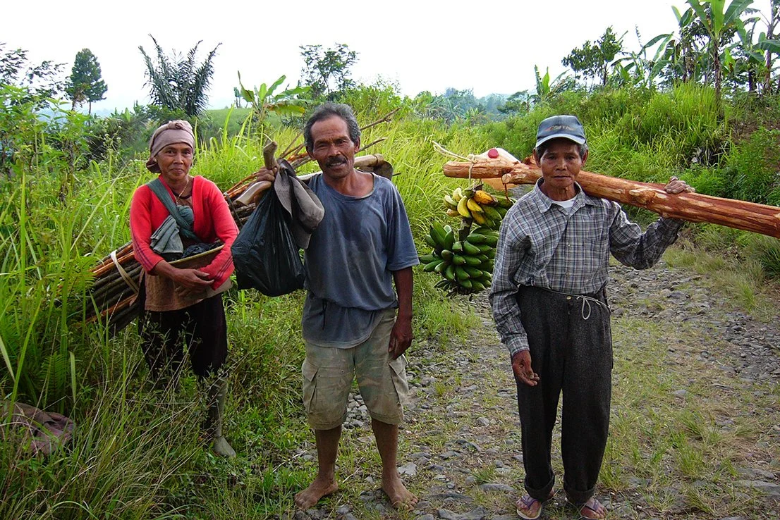 Land Rights, Identity, and Systems Change