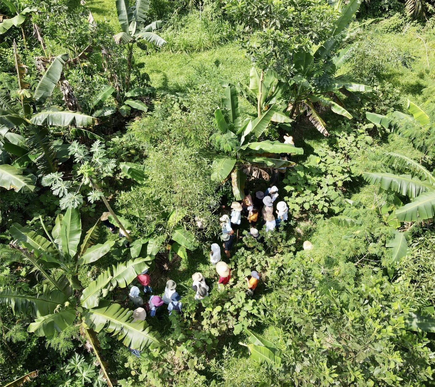 Screenshot 2024-09-20 at 11.31.20.png