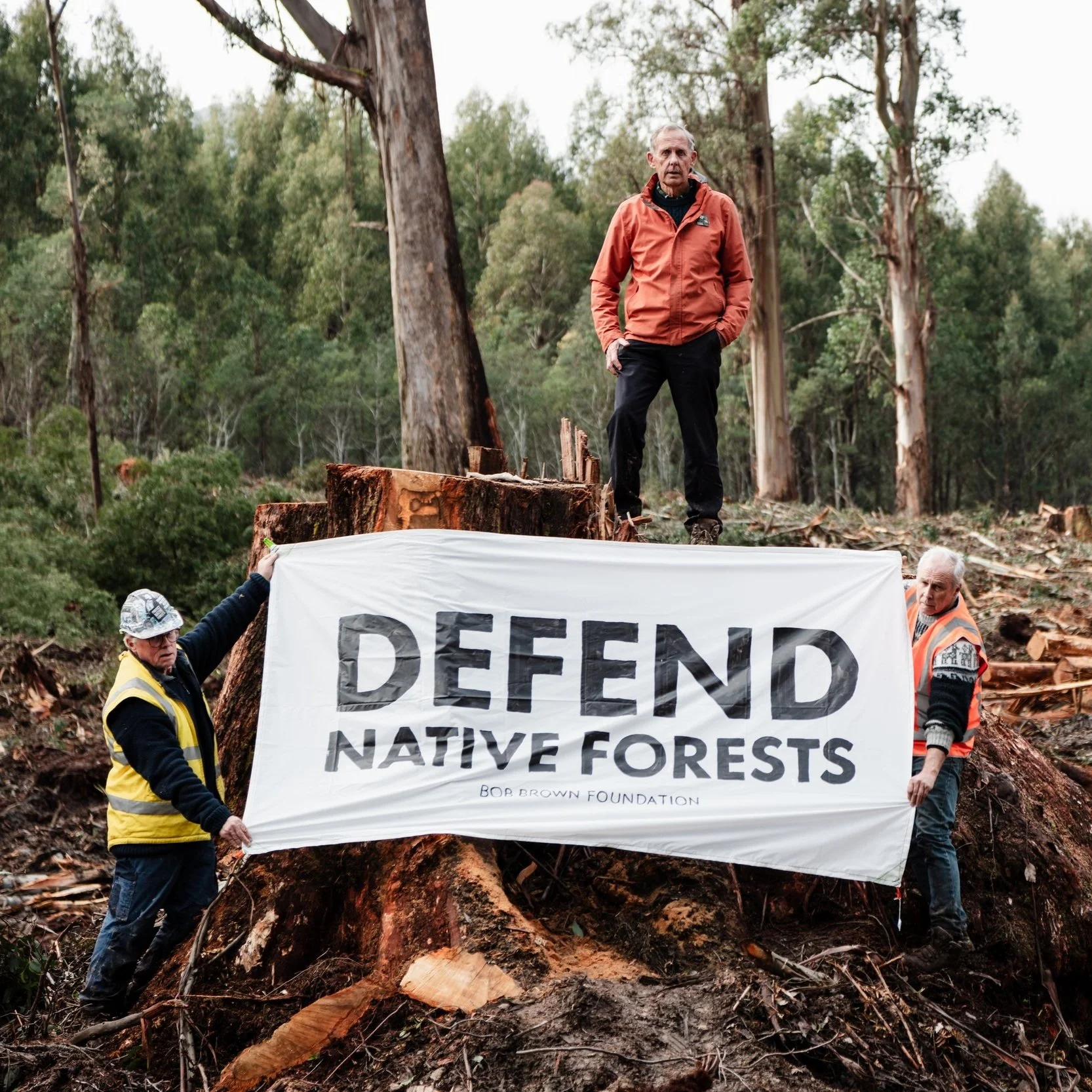 F0020B 1.07.23 BOB WALK ON ACTION-34.jpg