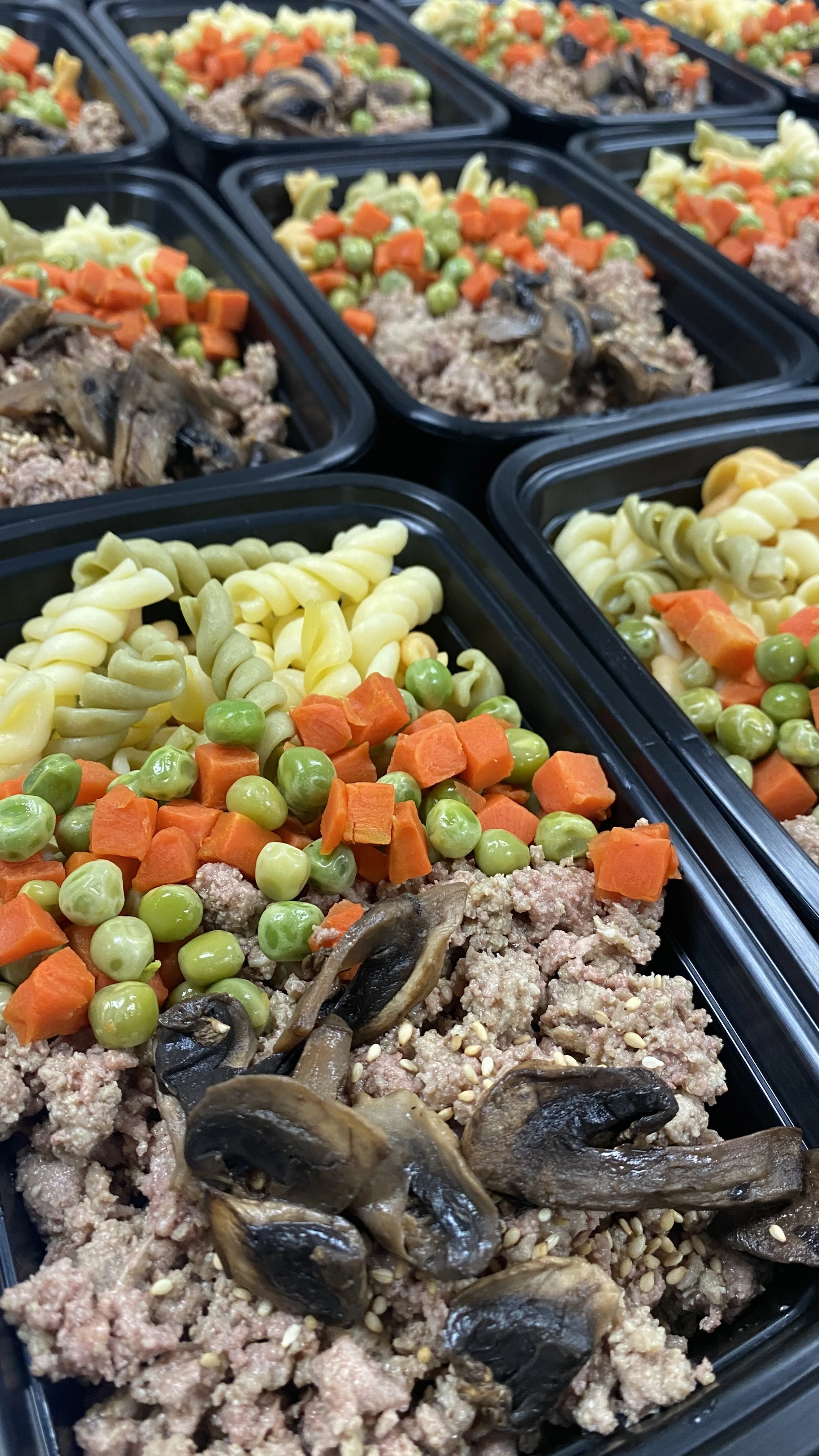 Photo Nov 12 2024, 3 13 57 PM.jpg