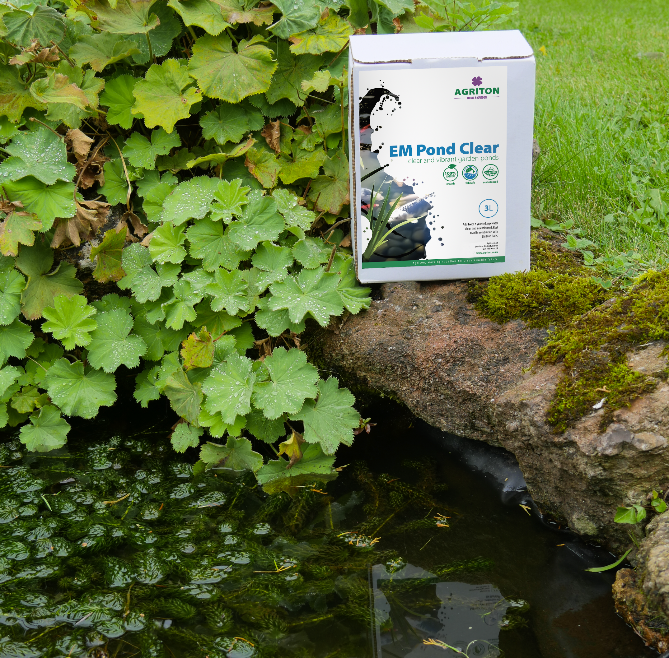 Pond clear insitu.png