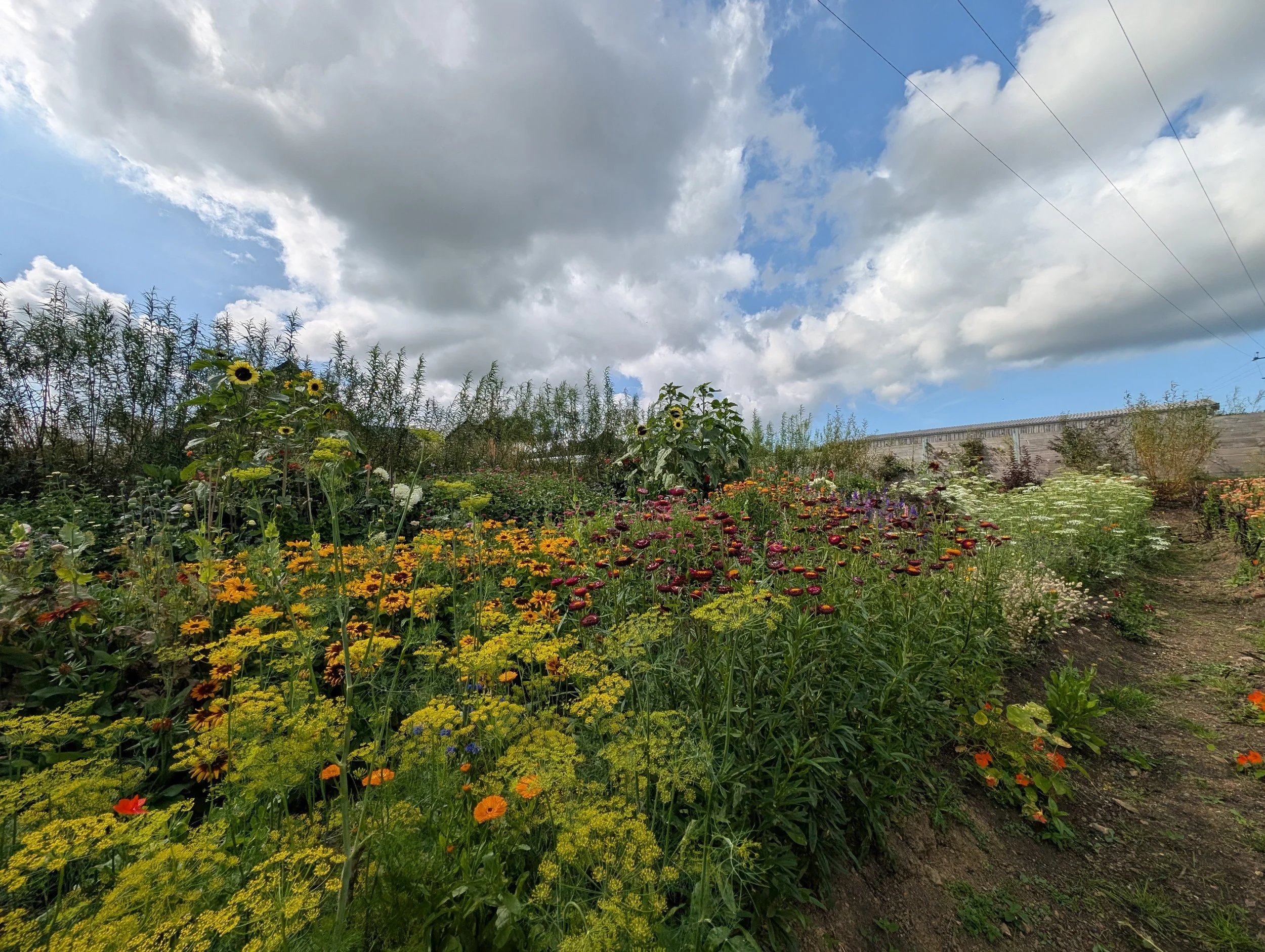 The garden was created using approximately 380 tonnes of recycled power-station material.