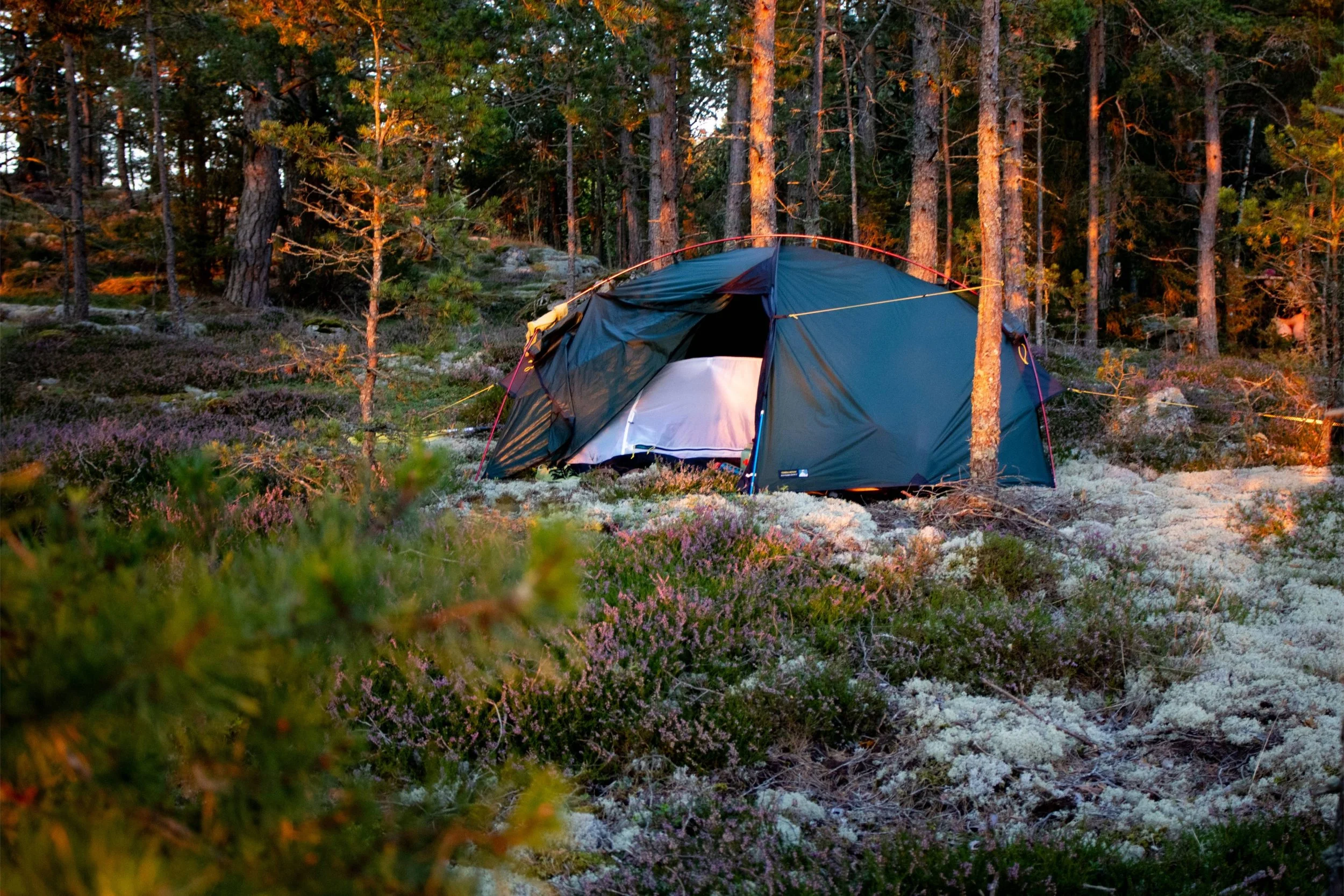 Terra Nova Southern Cross 2: A solid adventure tent for all seasons