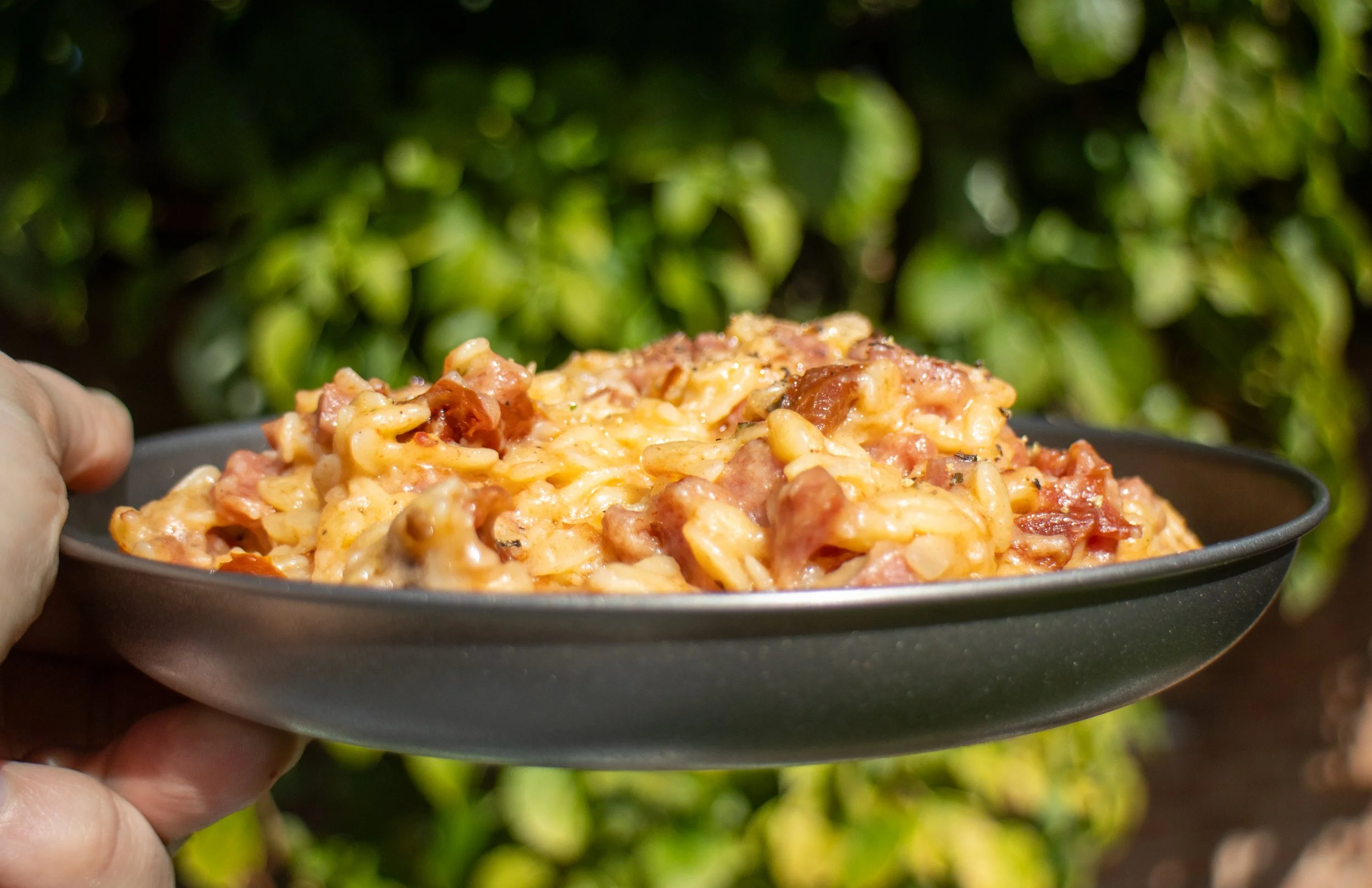 Adventure Orzo Alfonzie