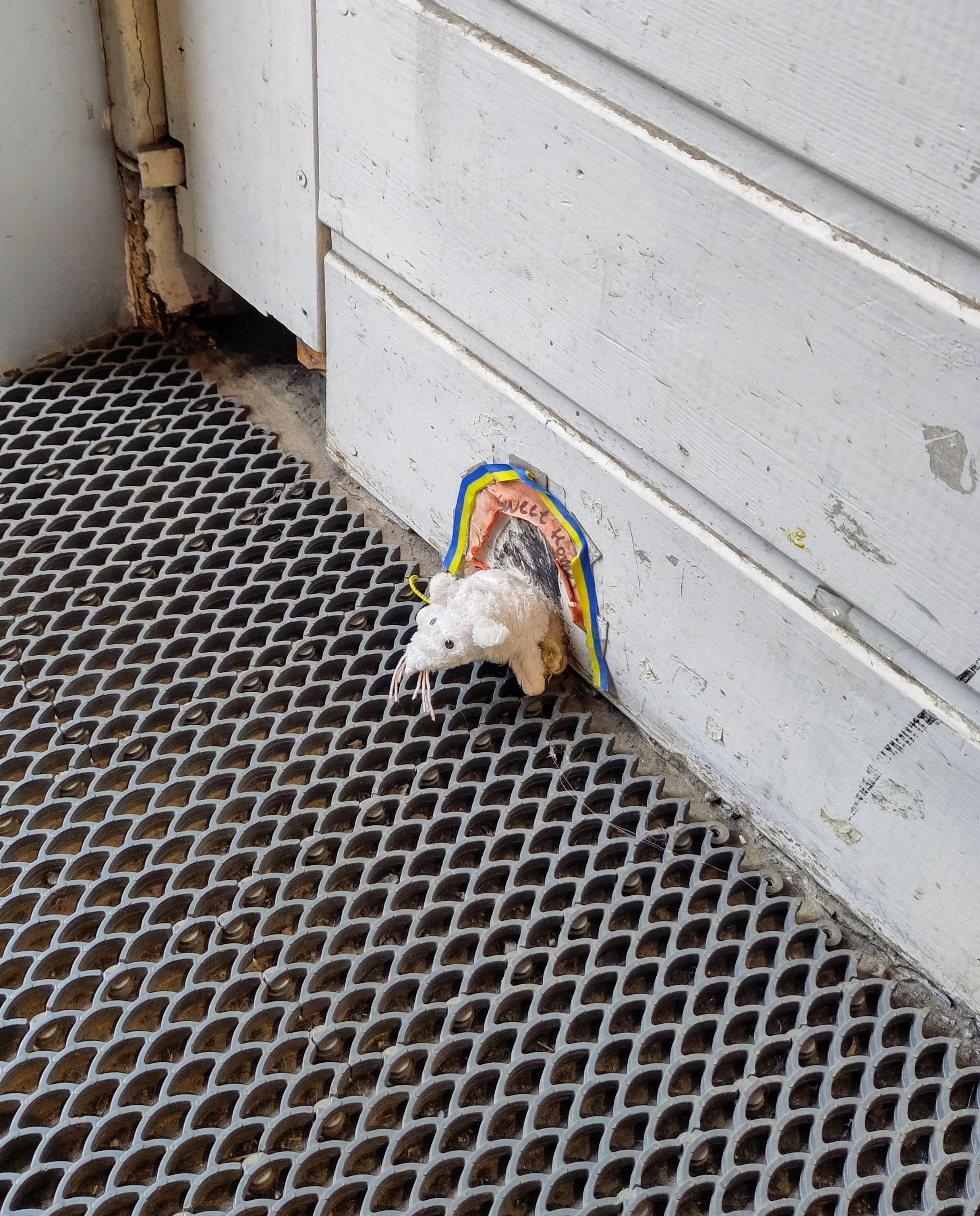A mouse hole draw on the shop's skirting board with a plushie toy mouse poking out