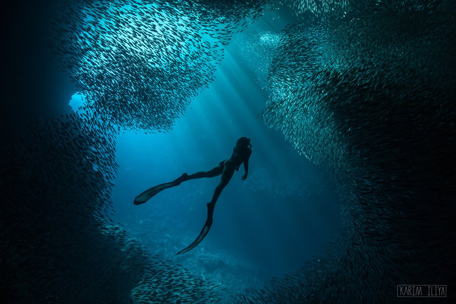cave-fish-ocean-swallows-freedive-vavau.jpeg