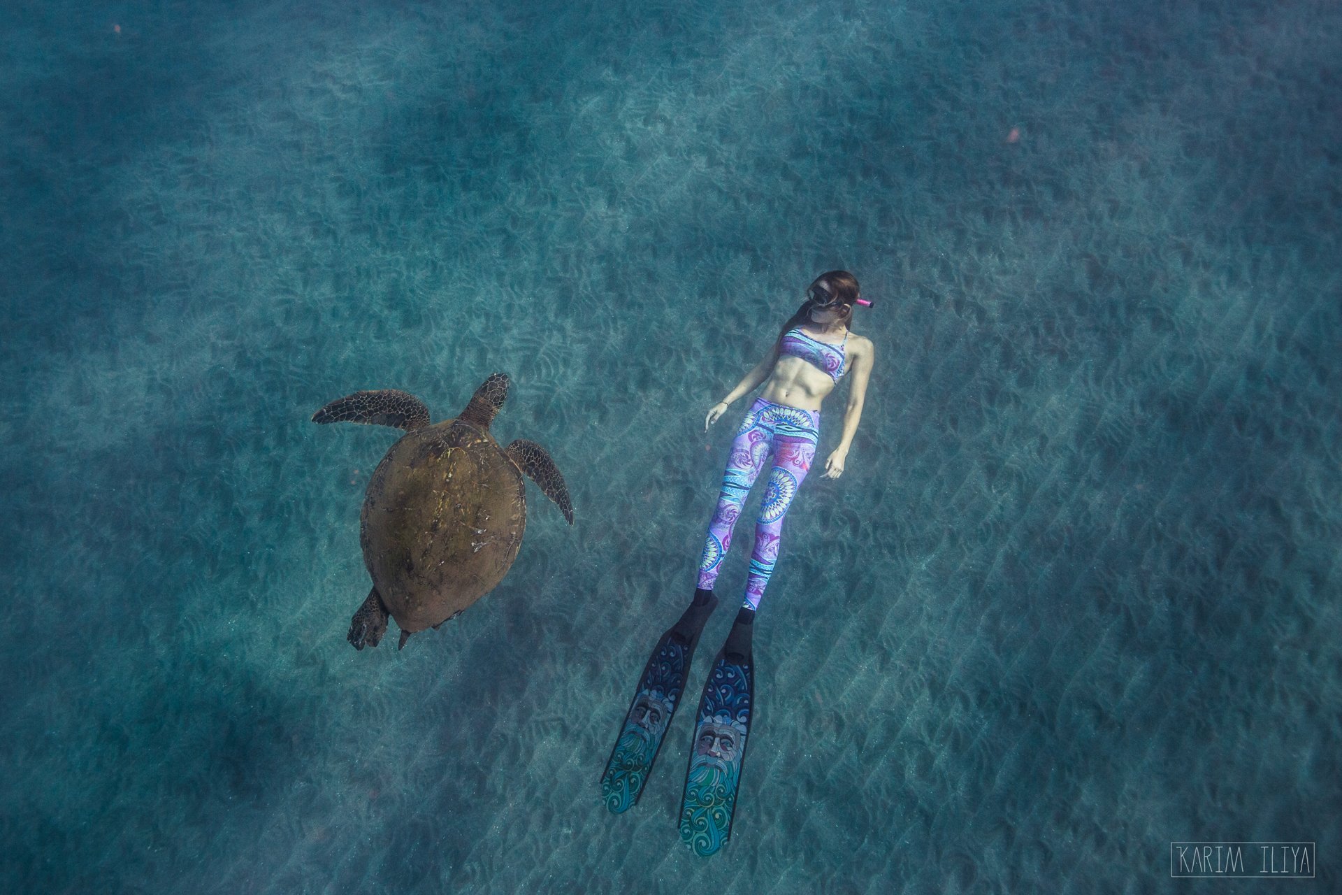 karim-iliya-turtle-underwater-freediving-photography.jpeg