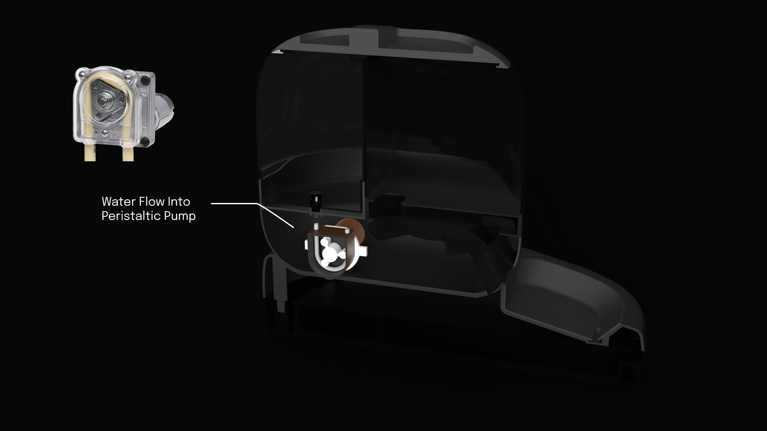 Then water flows into the Peristaltic Pump, which helps pump water out