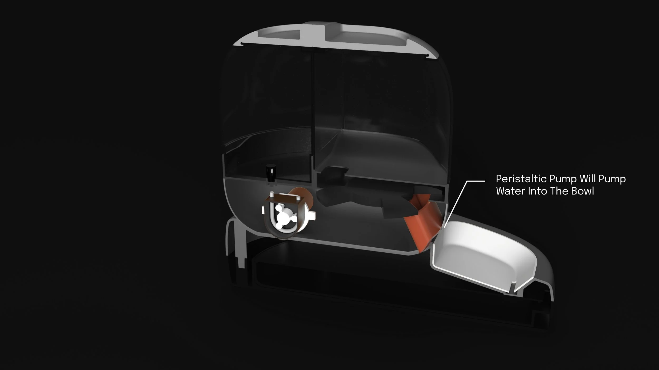Then water flows into the Peristaltic Pump, which helps pump water out