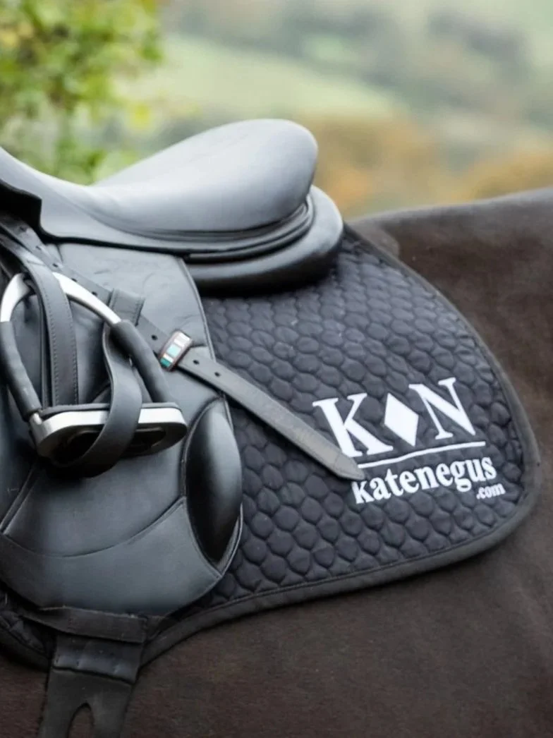 Professional Equine photography by BA1 Studios