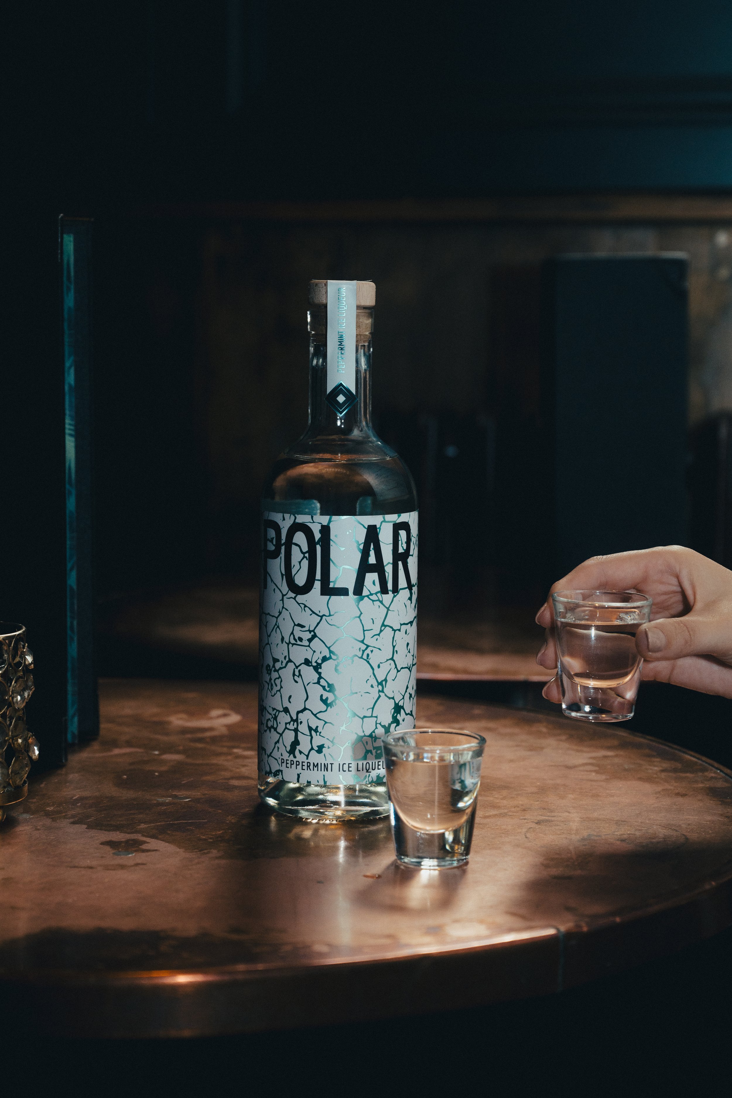 POLAR-08.jpg