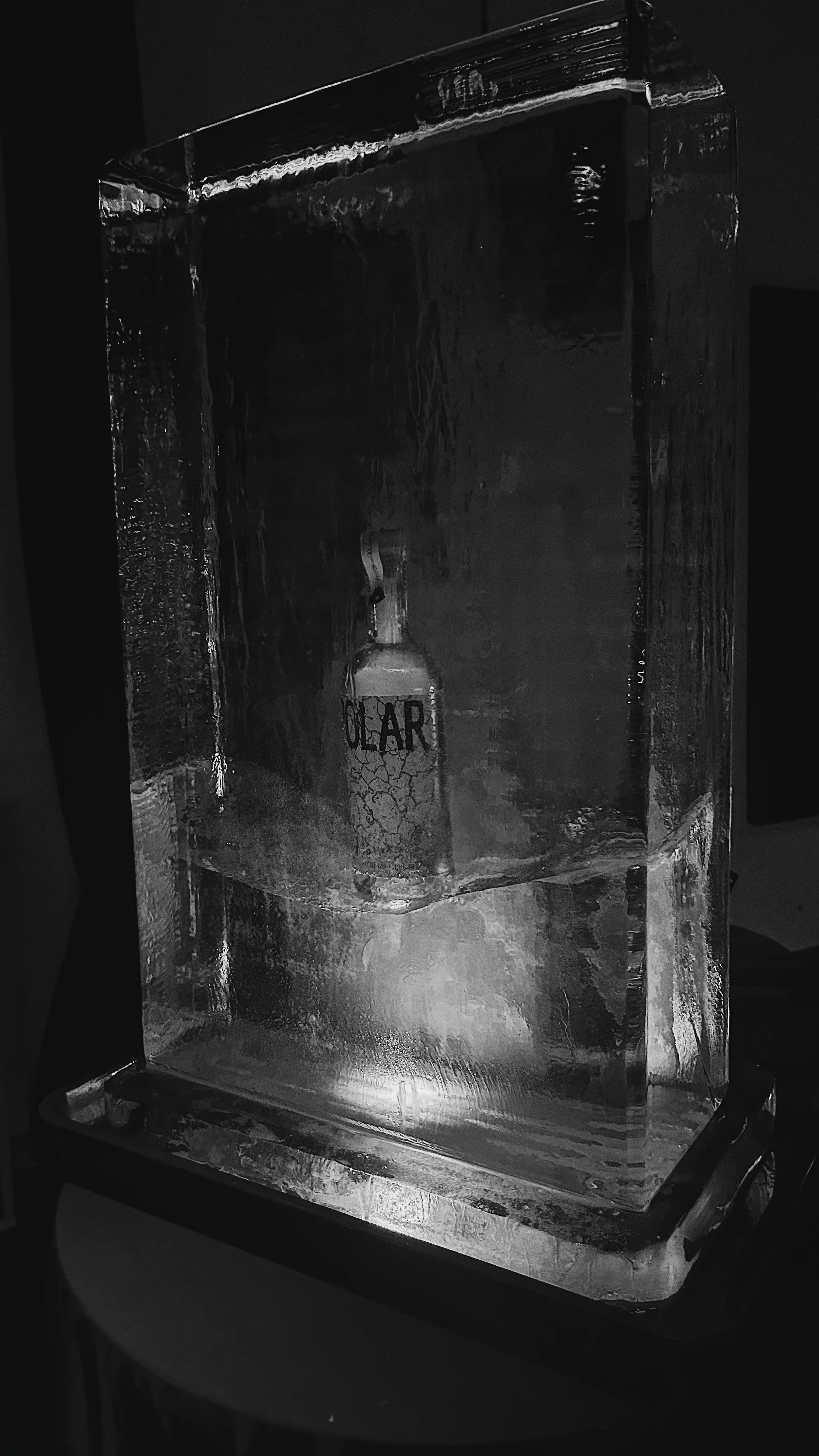 Photo from drinks brand launch party in London, featuring a POLAR ice sculpture