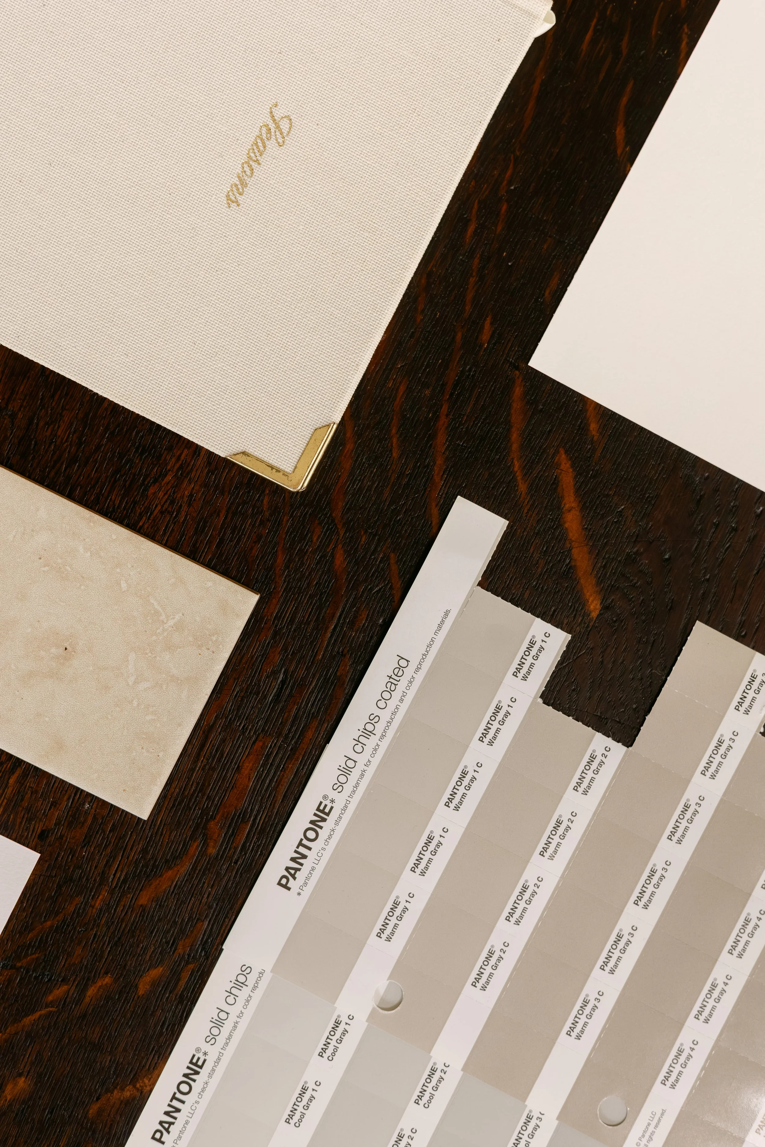 Swatch book of Pantone solid chips showing different shades of warm gray, arranged in a row on a wooden surface. The colors range from light to dark.
