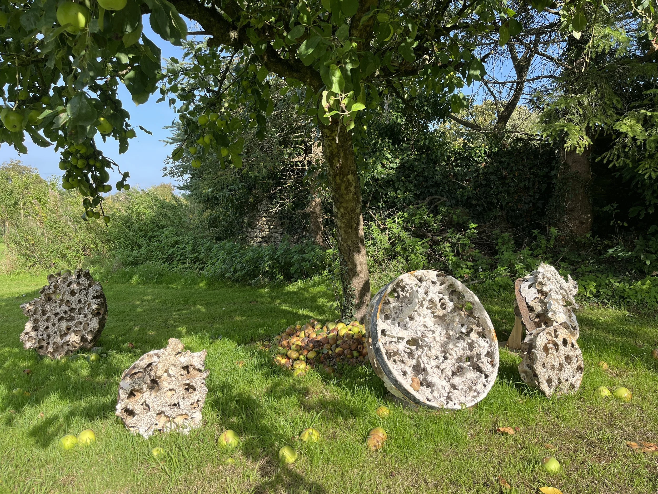 There’s to thee - old apple tree