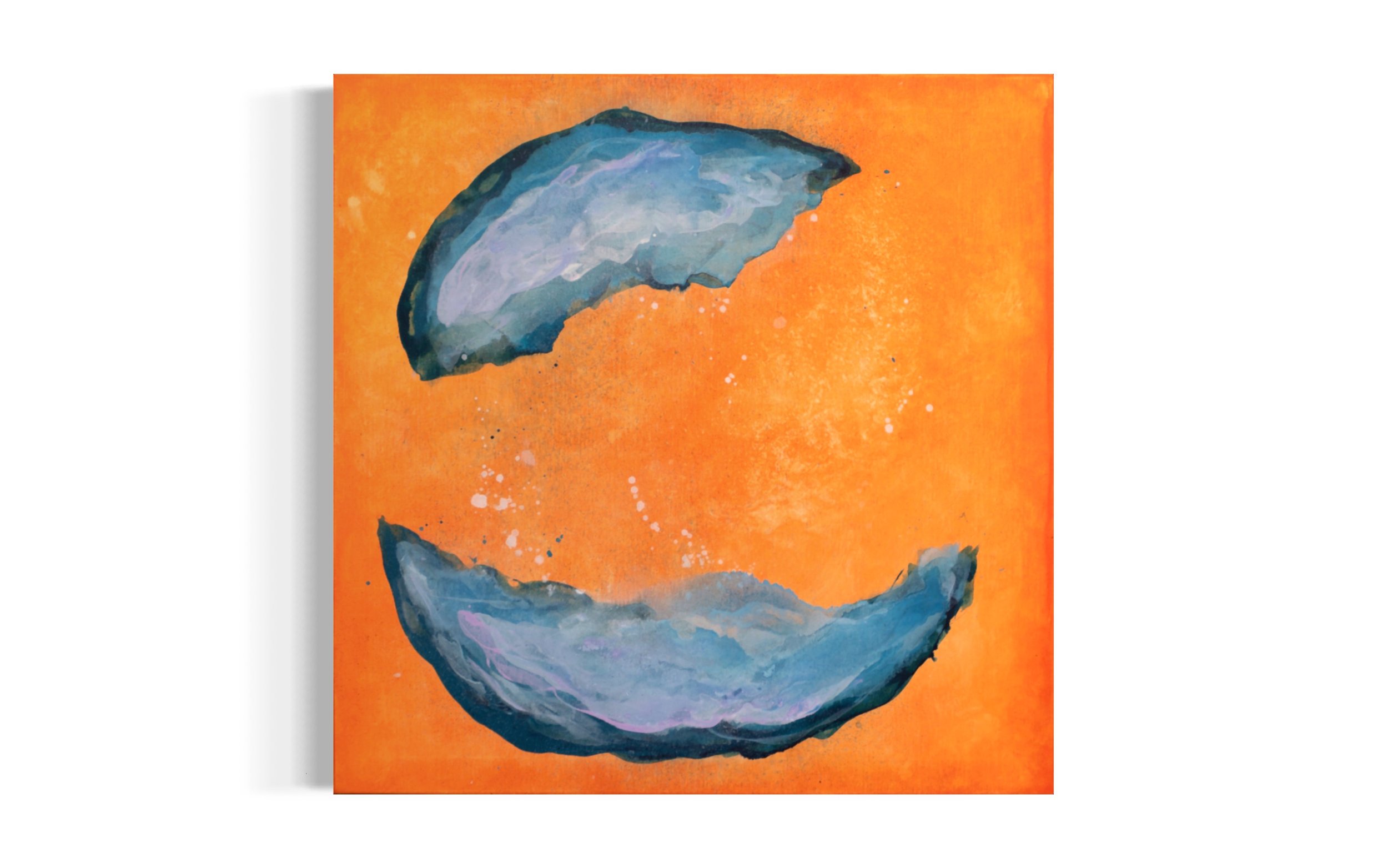 Oyster | 80 x 80 | 10 000,-