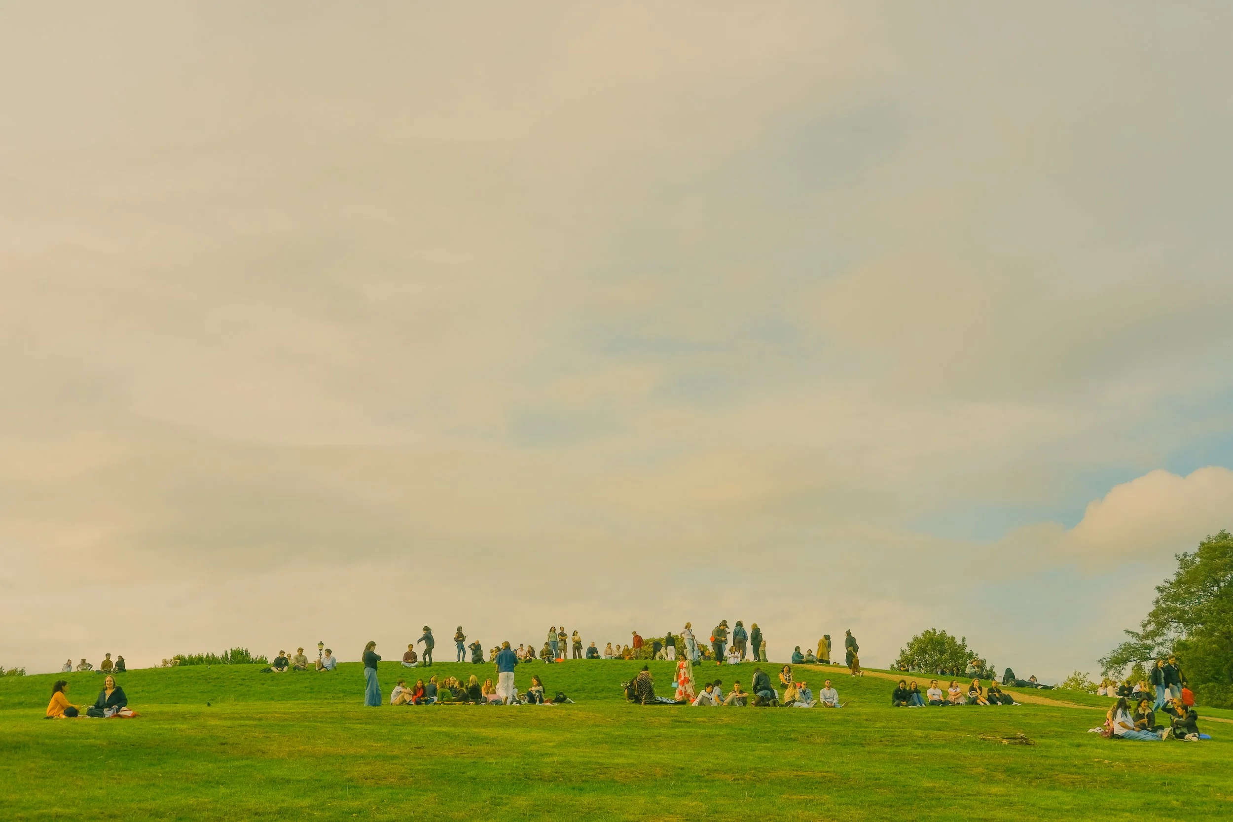 DSCF2511.jpg