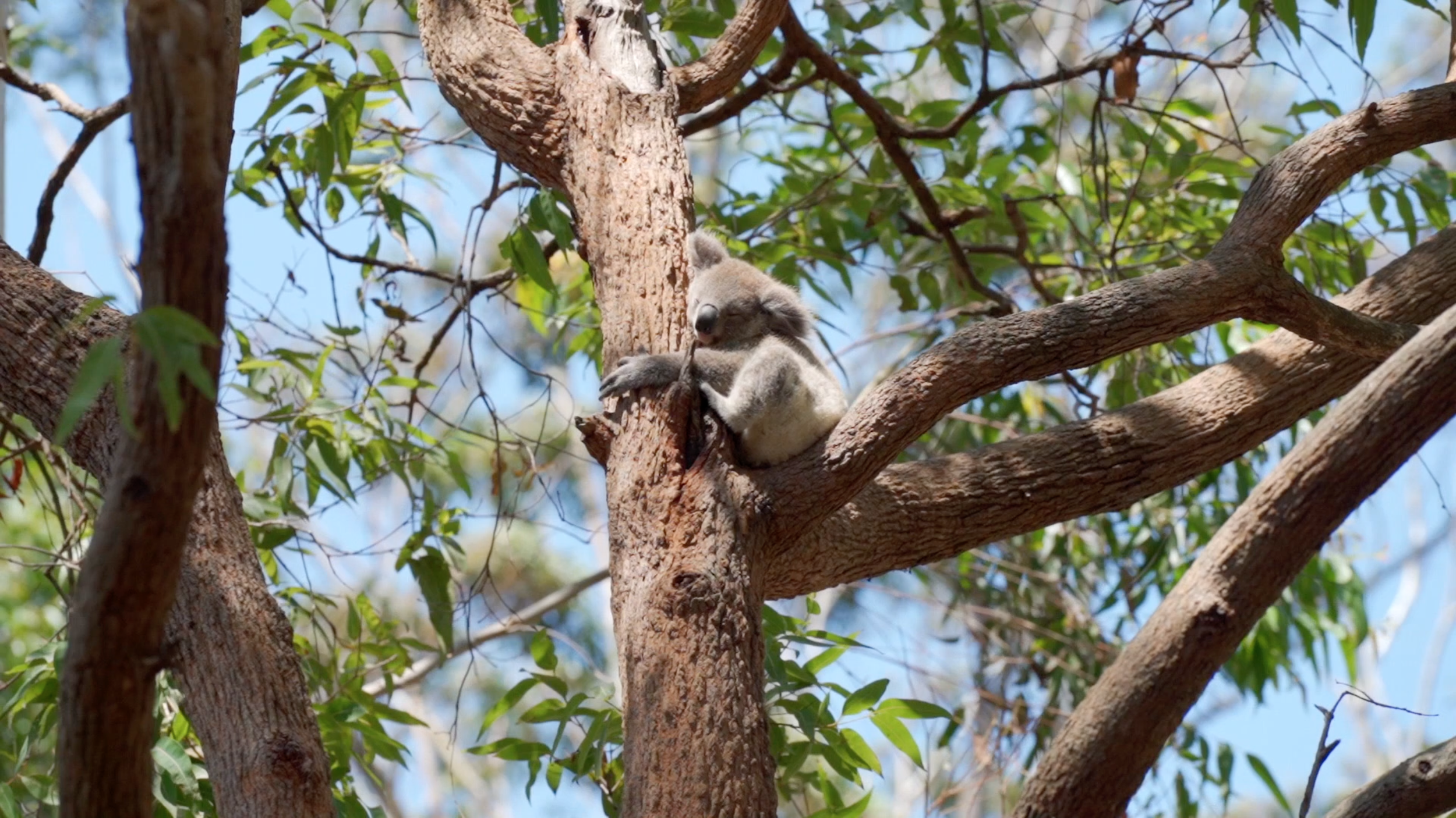 Screen Shot 2023-08-14 at 19.24.46.png