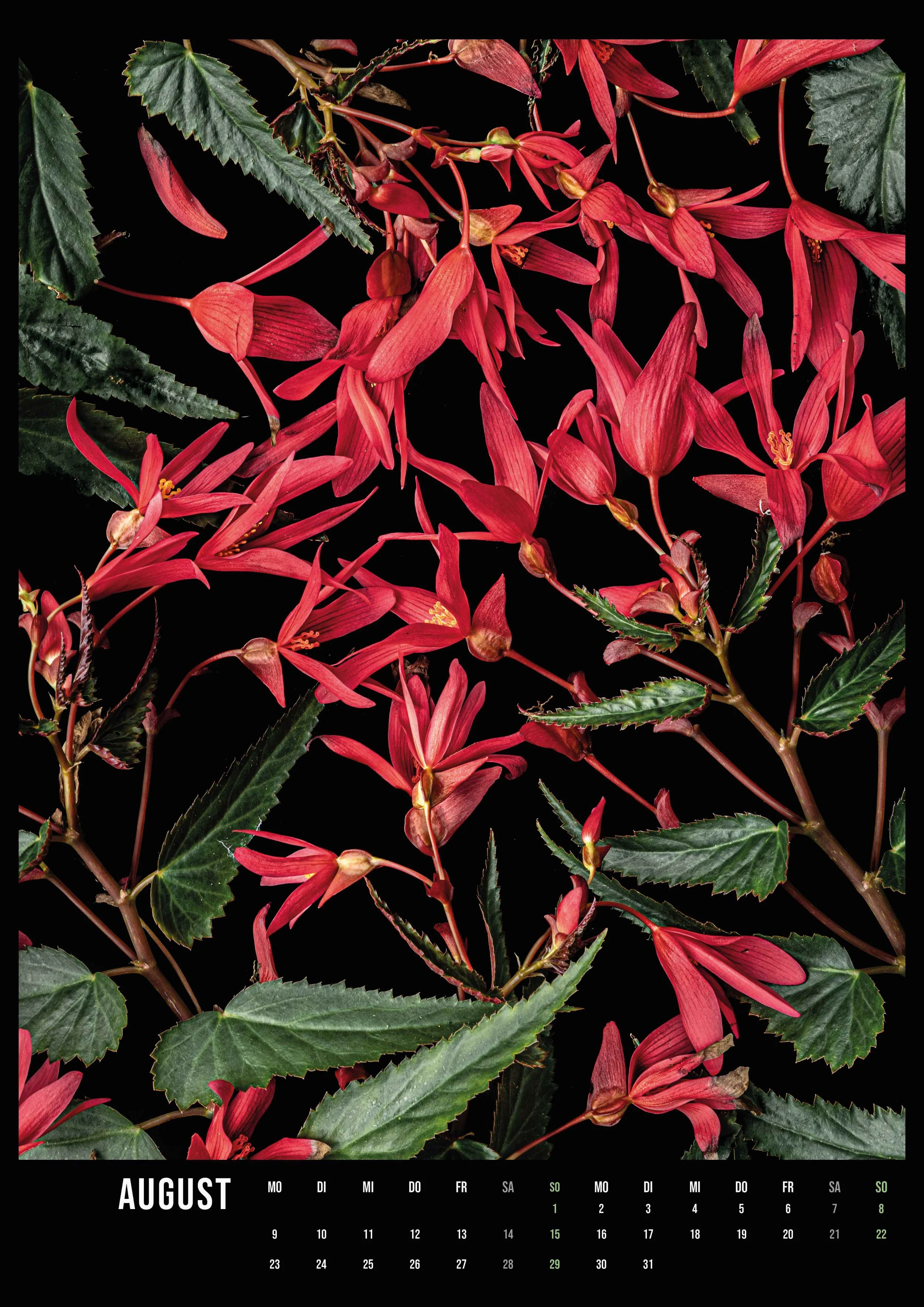 Kalender A3-Hochformat_flower_art_ 2027_14Seiten9.jpg