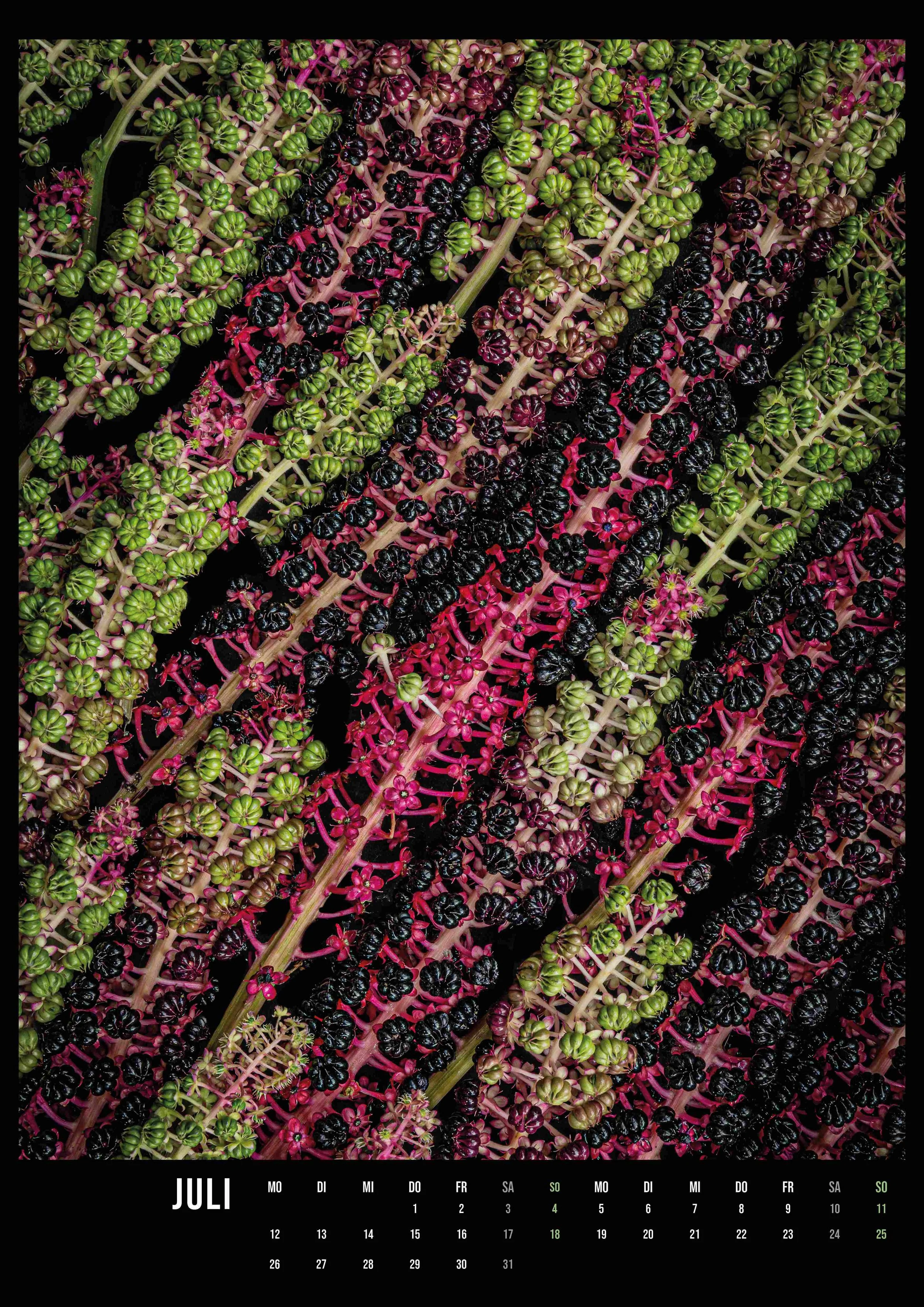 Kalender A3-Hochformat_flower_art_ 2027_14Seiten8.jpg